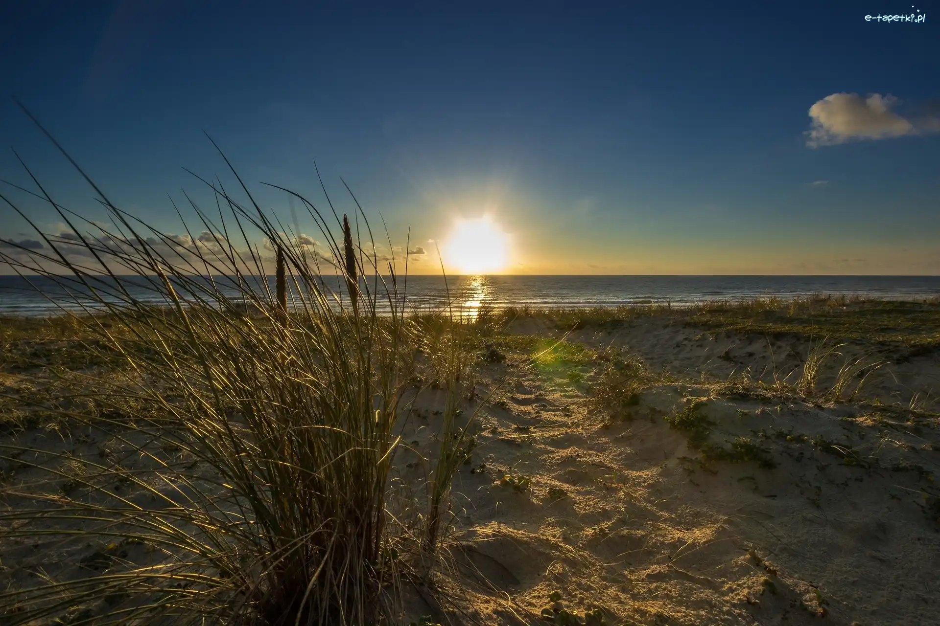Trawy, Morze, Wschód słońca, Plaża