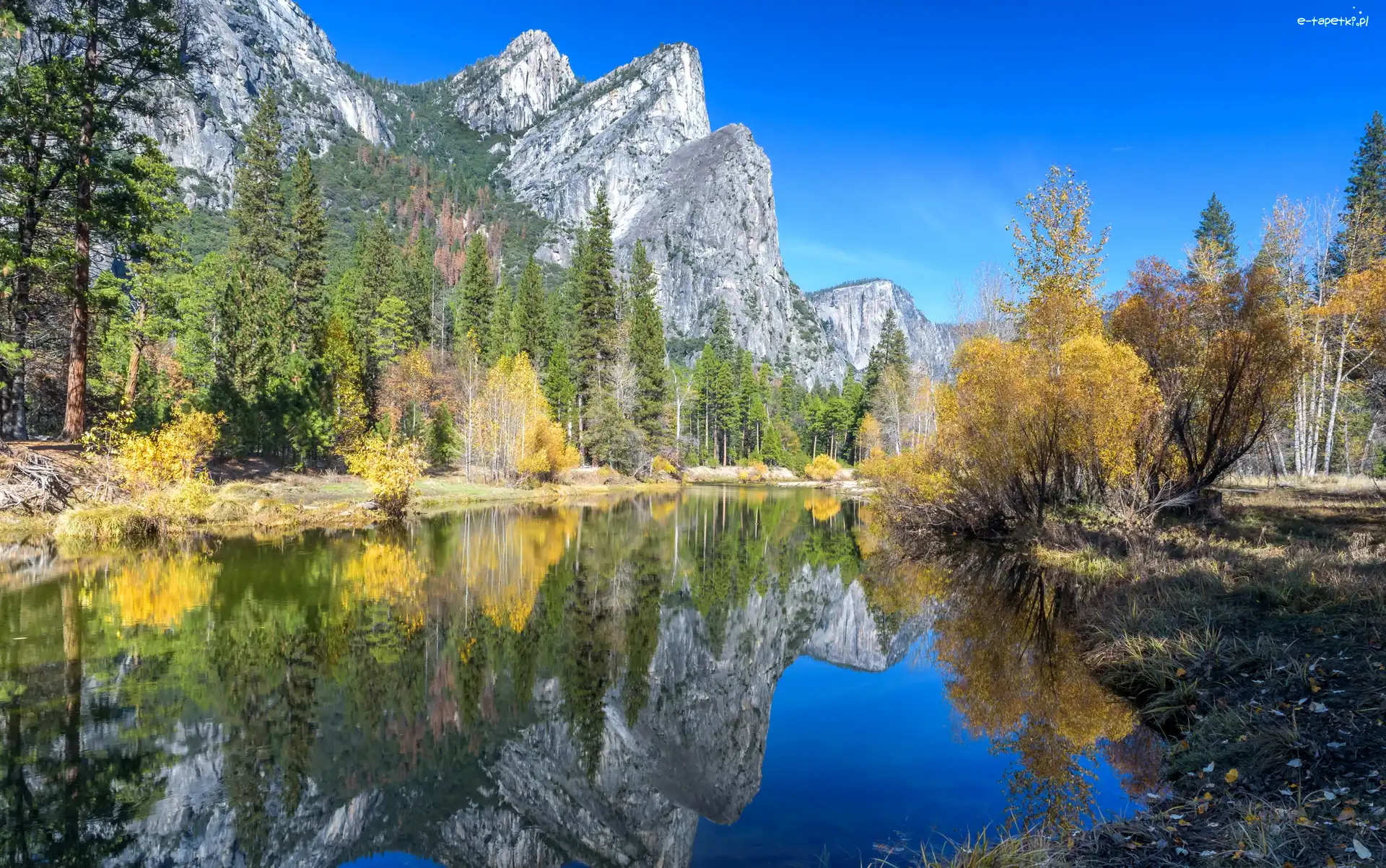 Góry, Kalifornia, Jezioro, Drzewa, Park Narodowy Yosemite, Stany Zjednoczone