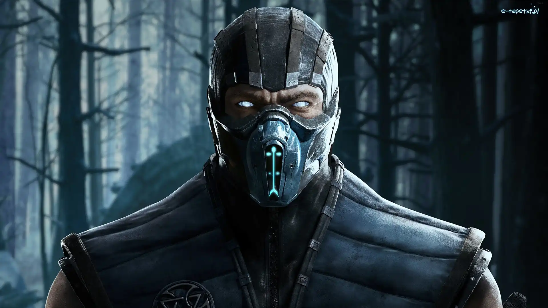Sub-zero, Mortal Kombat, Gra, Wojownik
