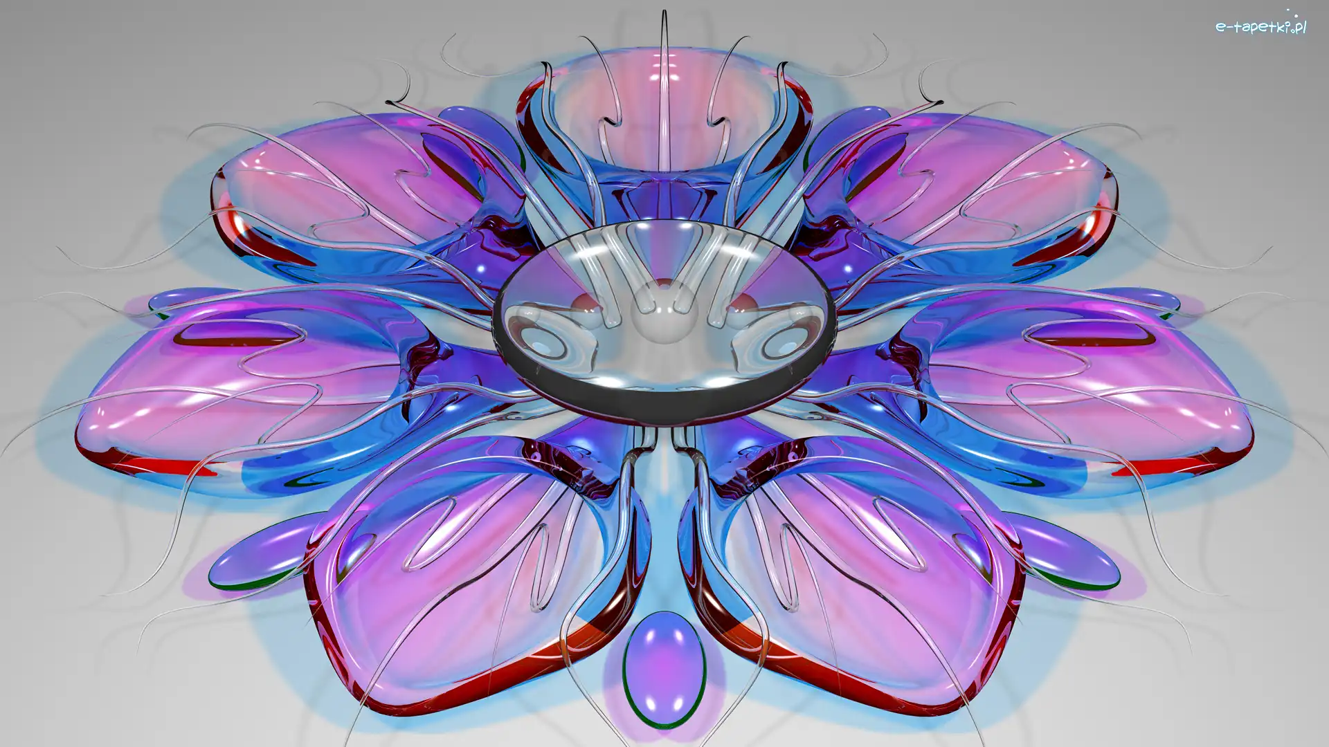 Kwiat, Fioletowy, Grafika 3D