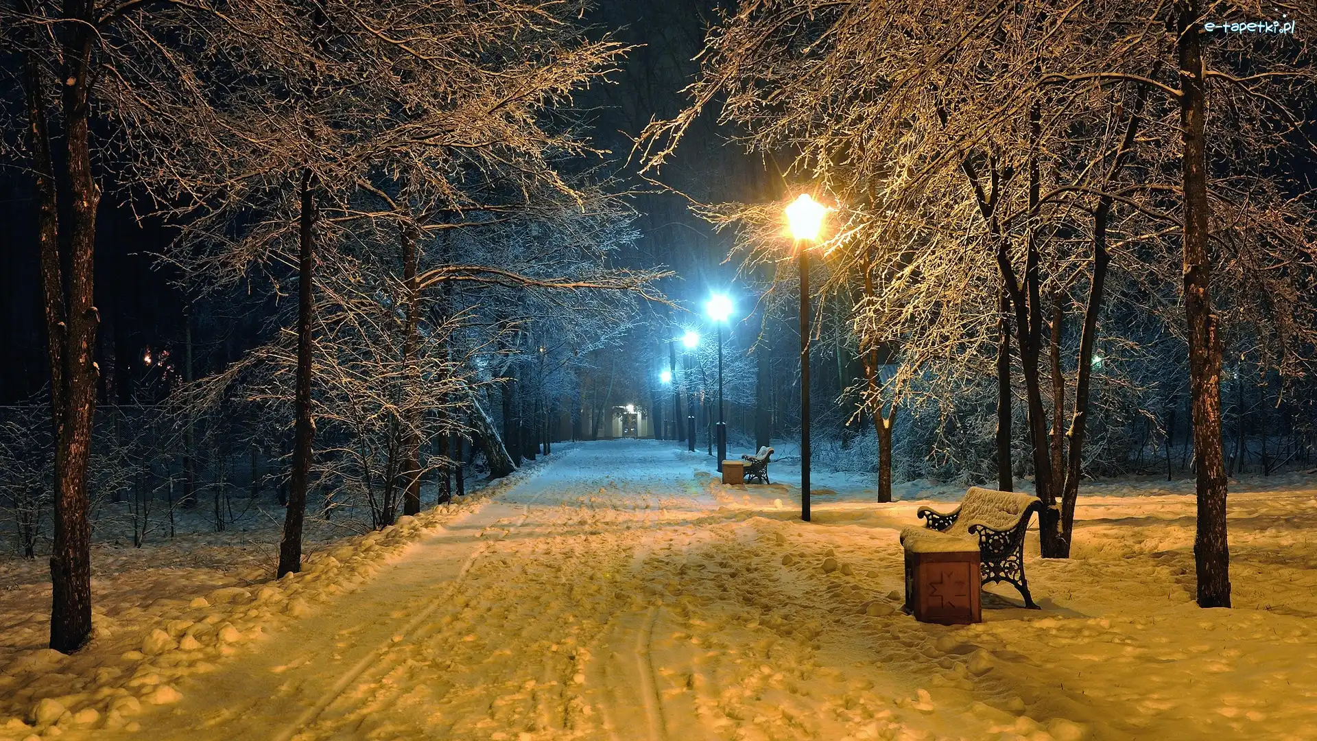 Ośnieżone, Ławki, Latarnie, Drzewa, Park, Zima