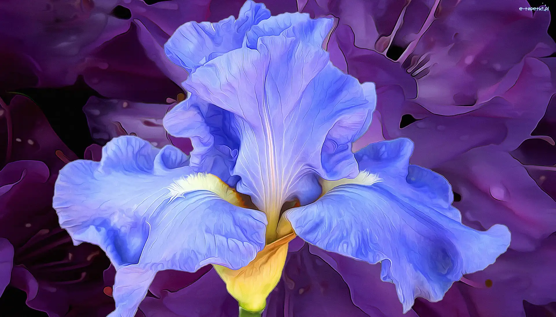 Paintography, Irys