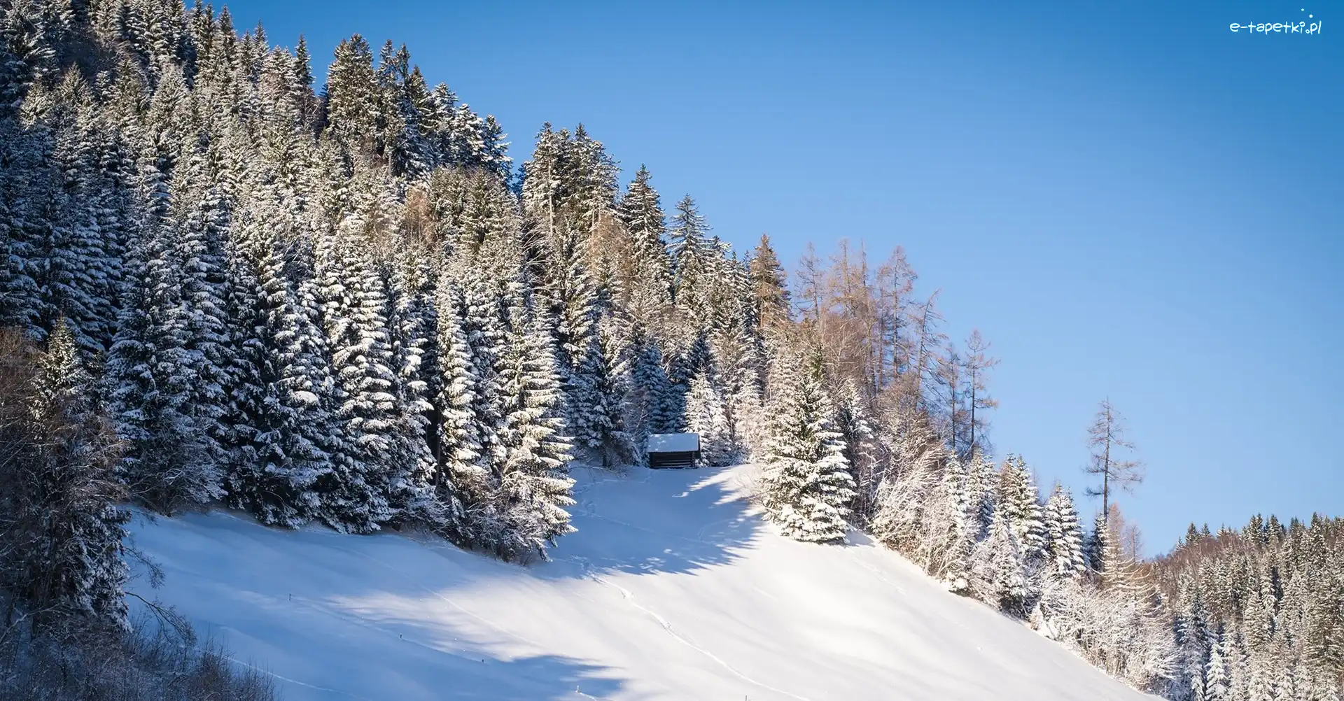 Wzgórze, Domek, Las, Zima