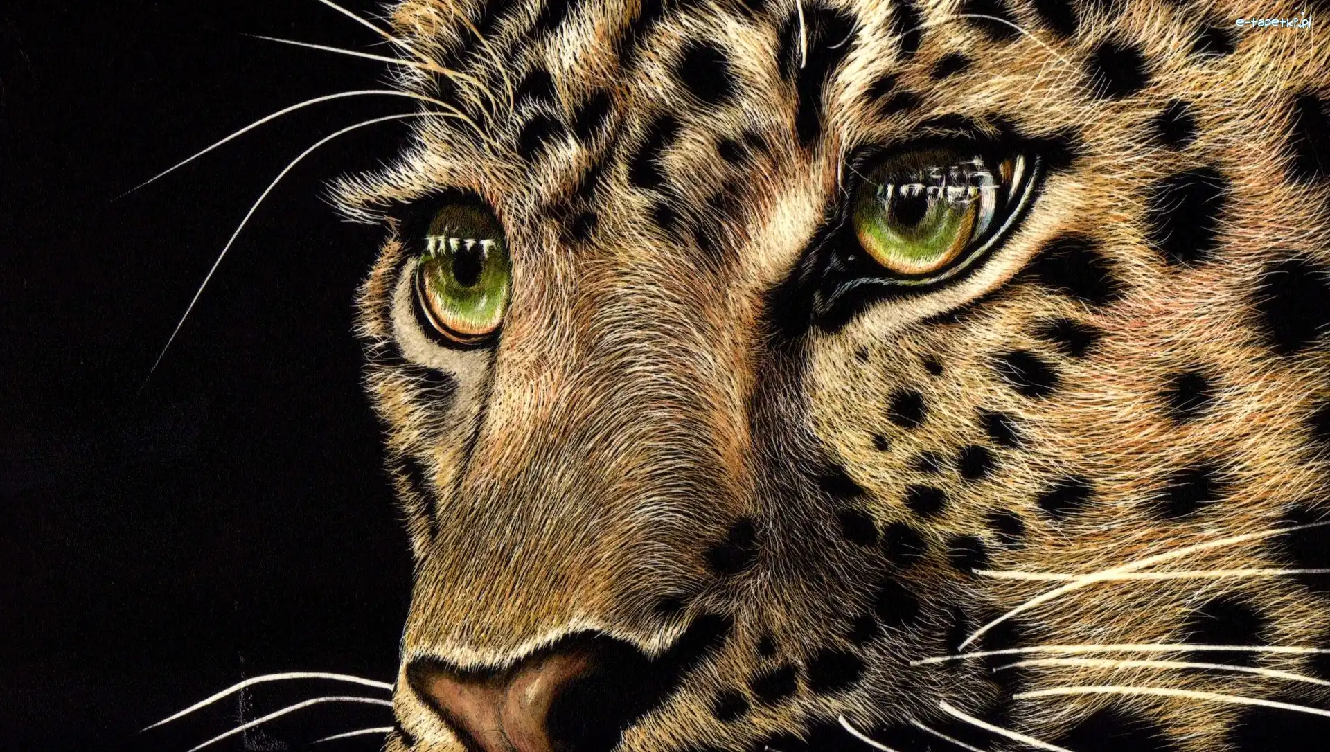 Oczy, Lampart, Paintography