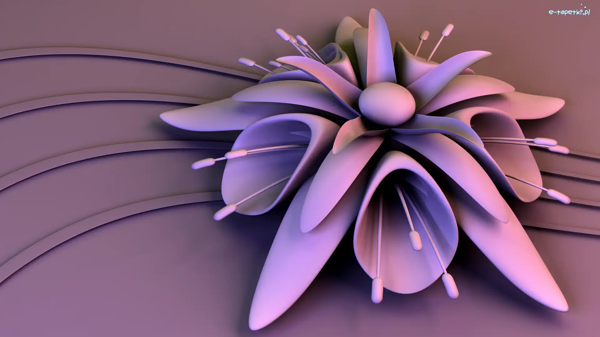 Kwiatek, Grafika 3D