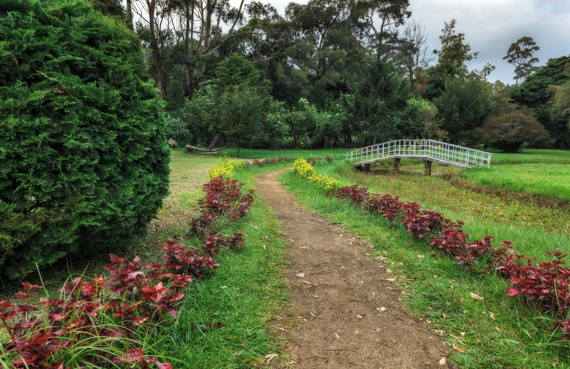 Kwiaty, Victoria Park, Drzewa, Mostek, Nuwara Eliya, Sri Lanka
