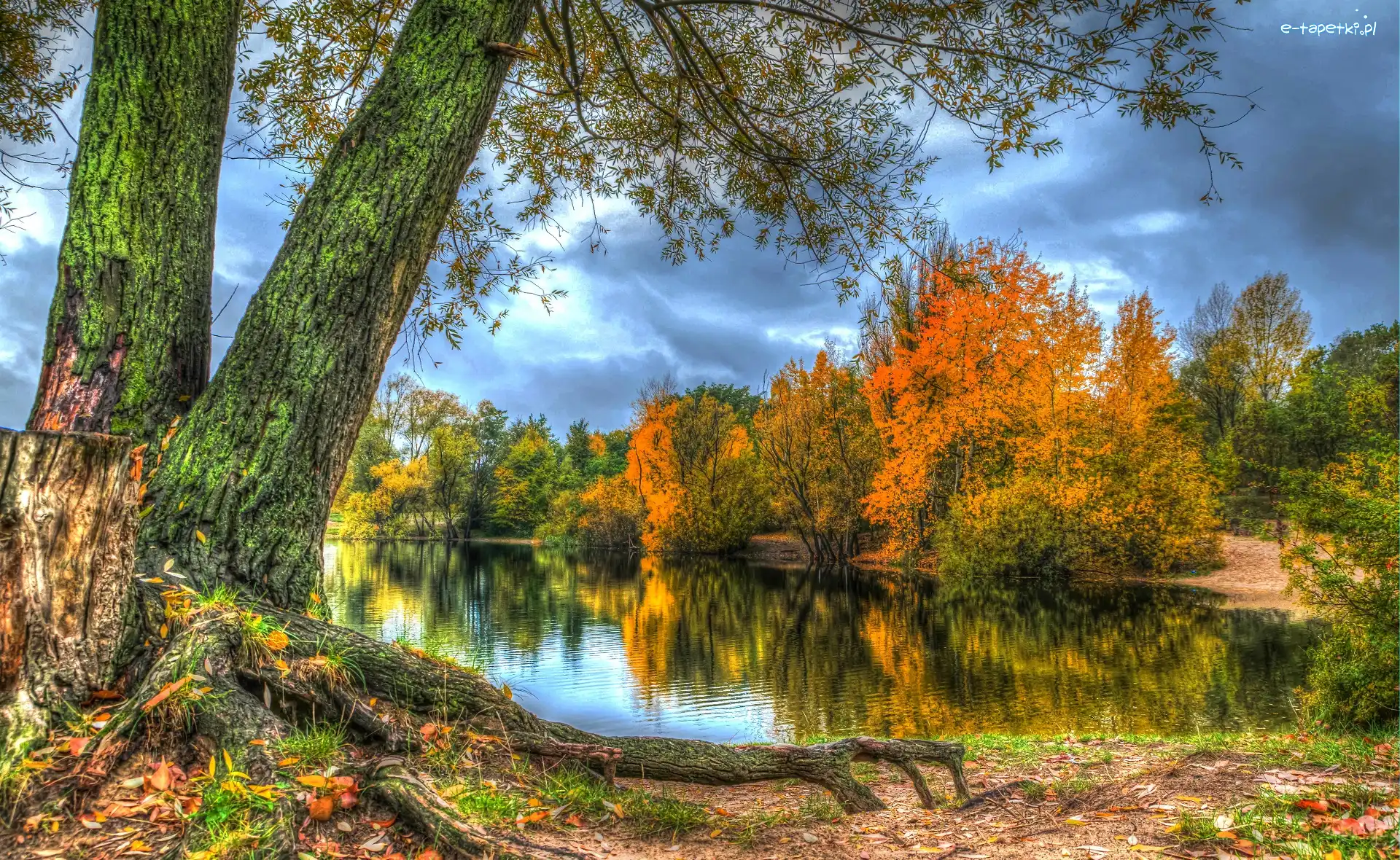 Jezioro, Odbicie, Drzewa, HDR