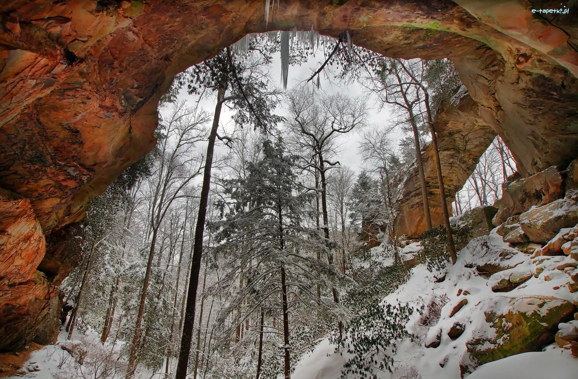 Drzewa, Kanion Red River Gorge, Łuk, Stan Kentucky, Stany Zjednoczone, Zima, Skalny