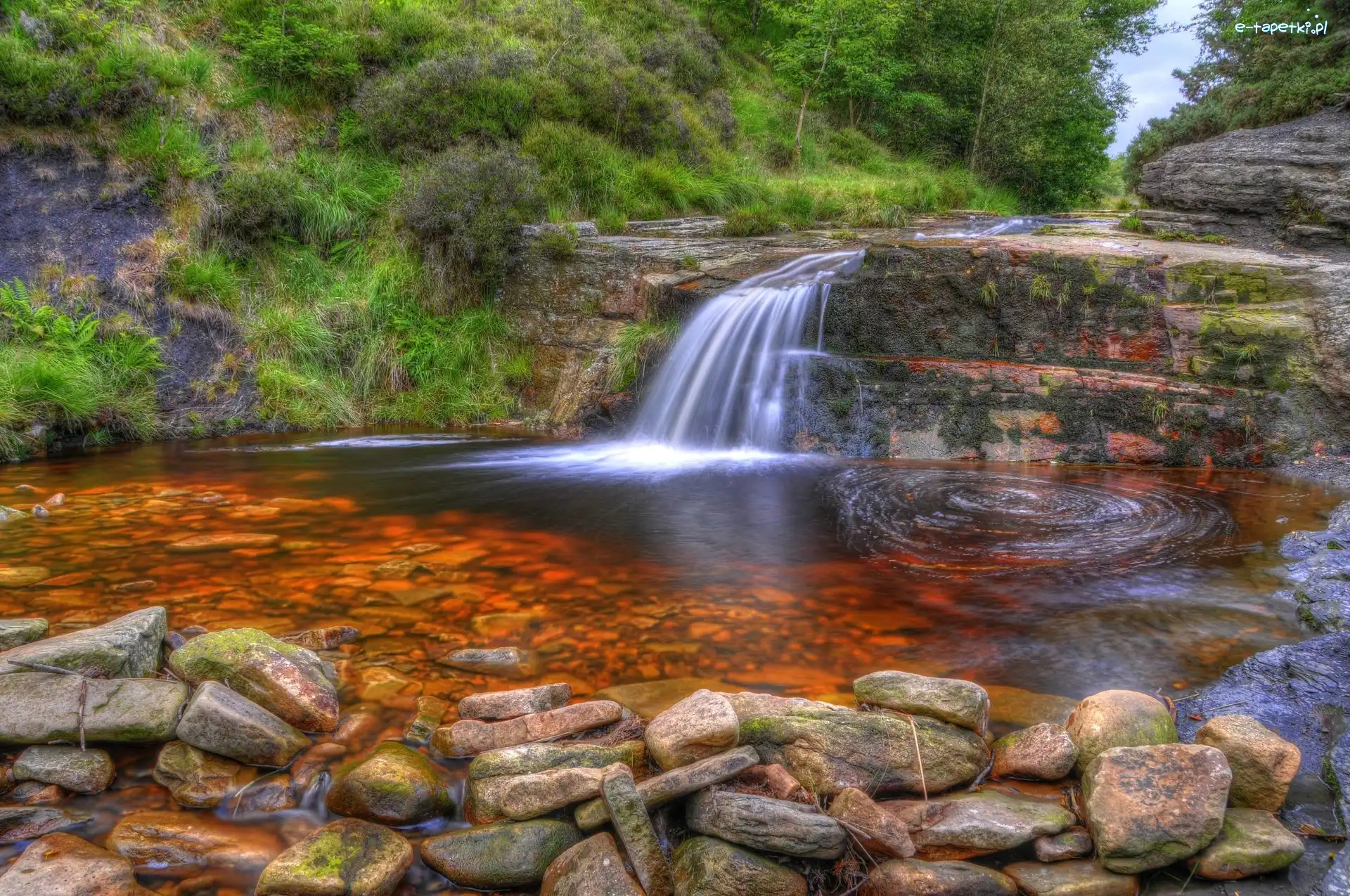 Skały, Wodospad, Kamienie, Rośliny, Anglezarke, Anglia
