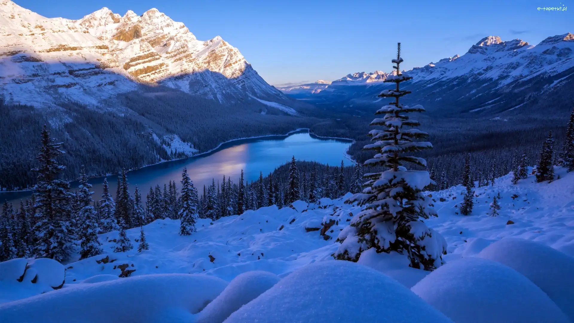 Lasy, Jezioro Peyto, Góry, Zima, Park Narodowy Banff, Kanada