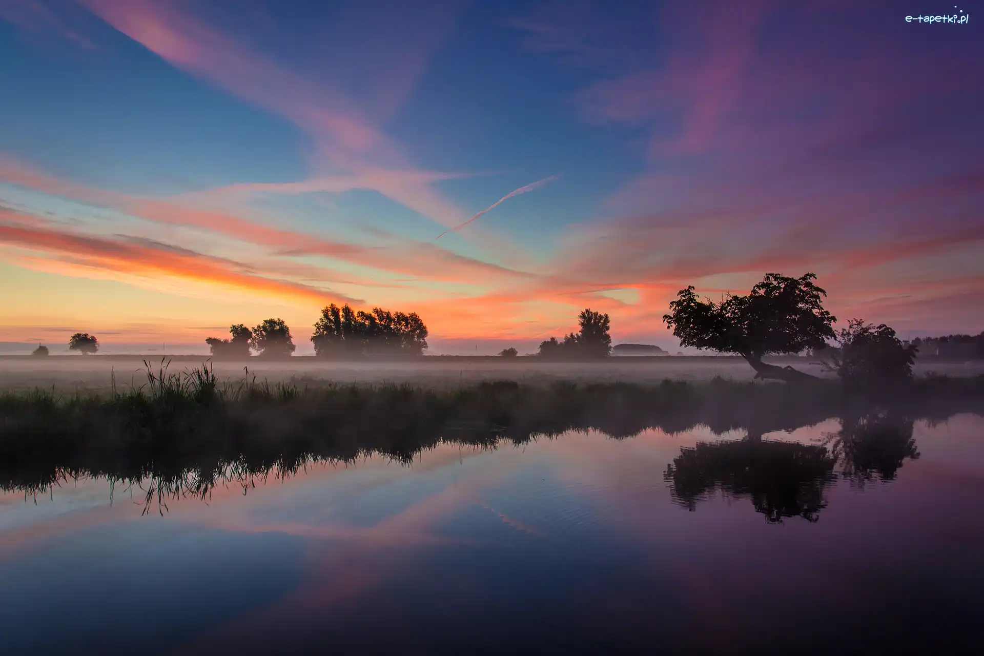 Odbicie, Rzeka Ouse, Mgła, Ely, Anglia, Drzewa, Zachód słońca