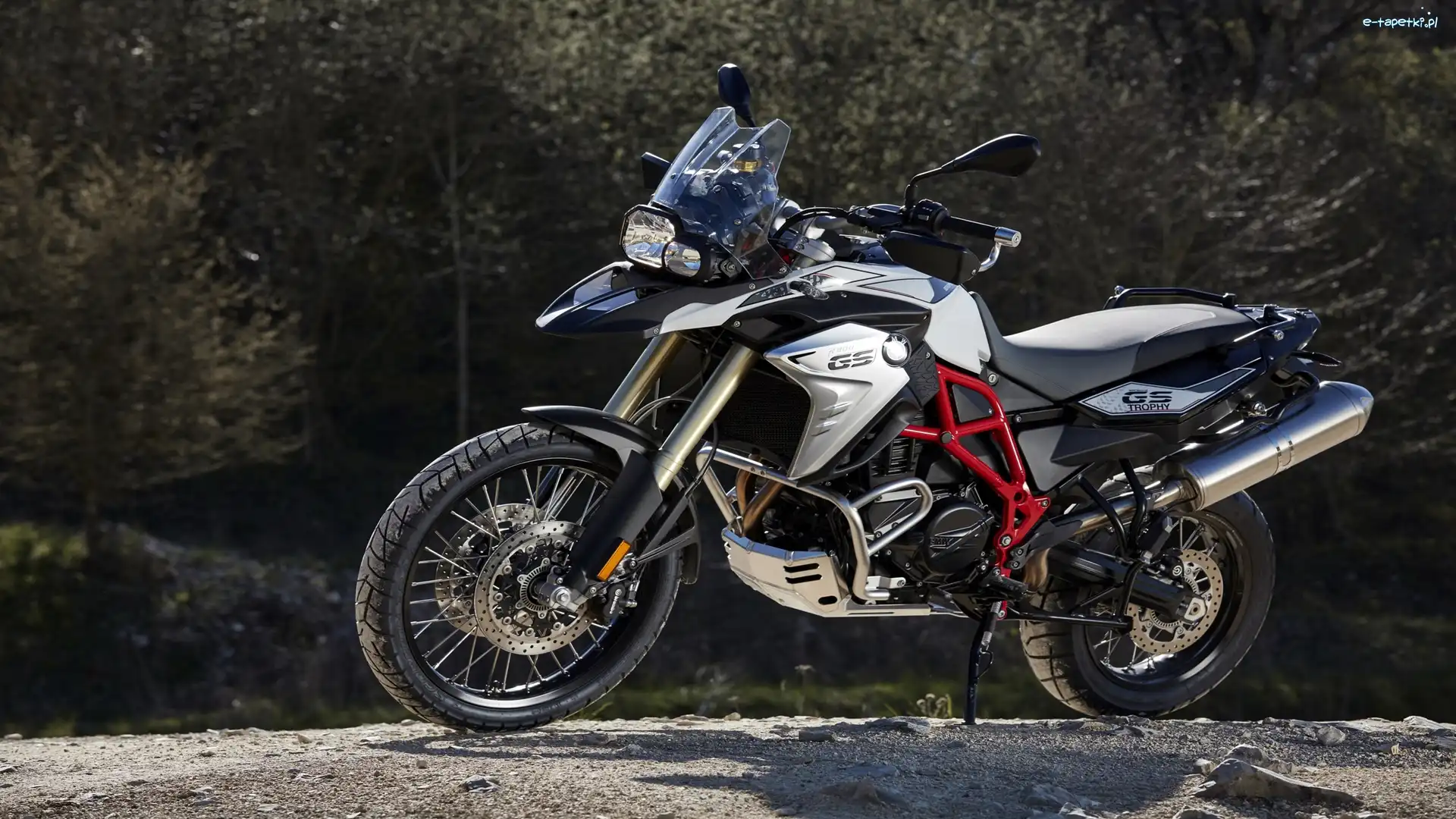 2016, BMW F 800 GS Trophy, Motocykl