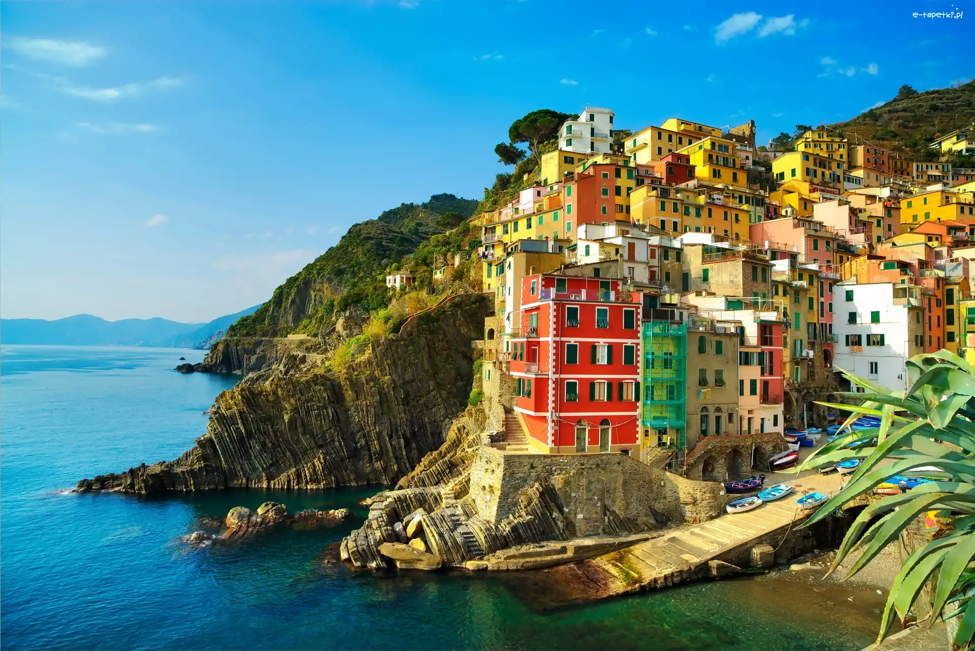 Wybrzeże, Riomaggiore, Domy, Liguria, Włochy, Morze, Skały