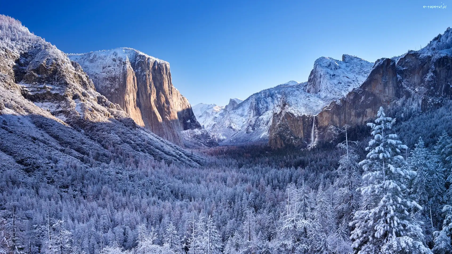 Góry, Zima, Park Narodowy Yosemite, Kalifornia, Stany Zjednoczone, Drzewa, Lasy, Dolina Yosemite Valley, Zaśnieżone