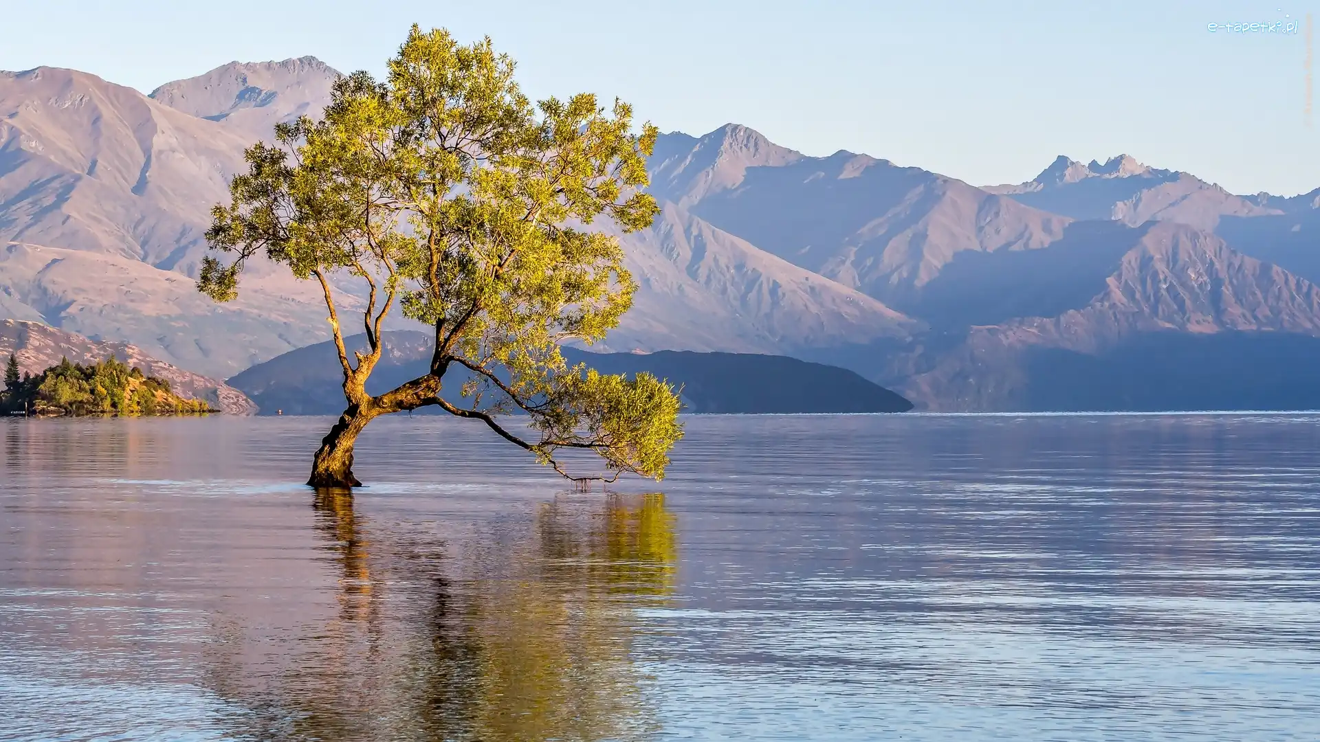 Jezioro Wanaka, Drzewo, Góry, Nowa Zelandia