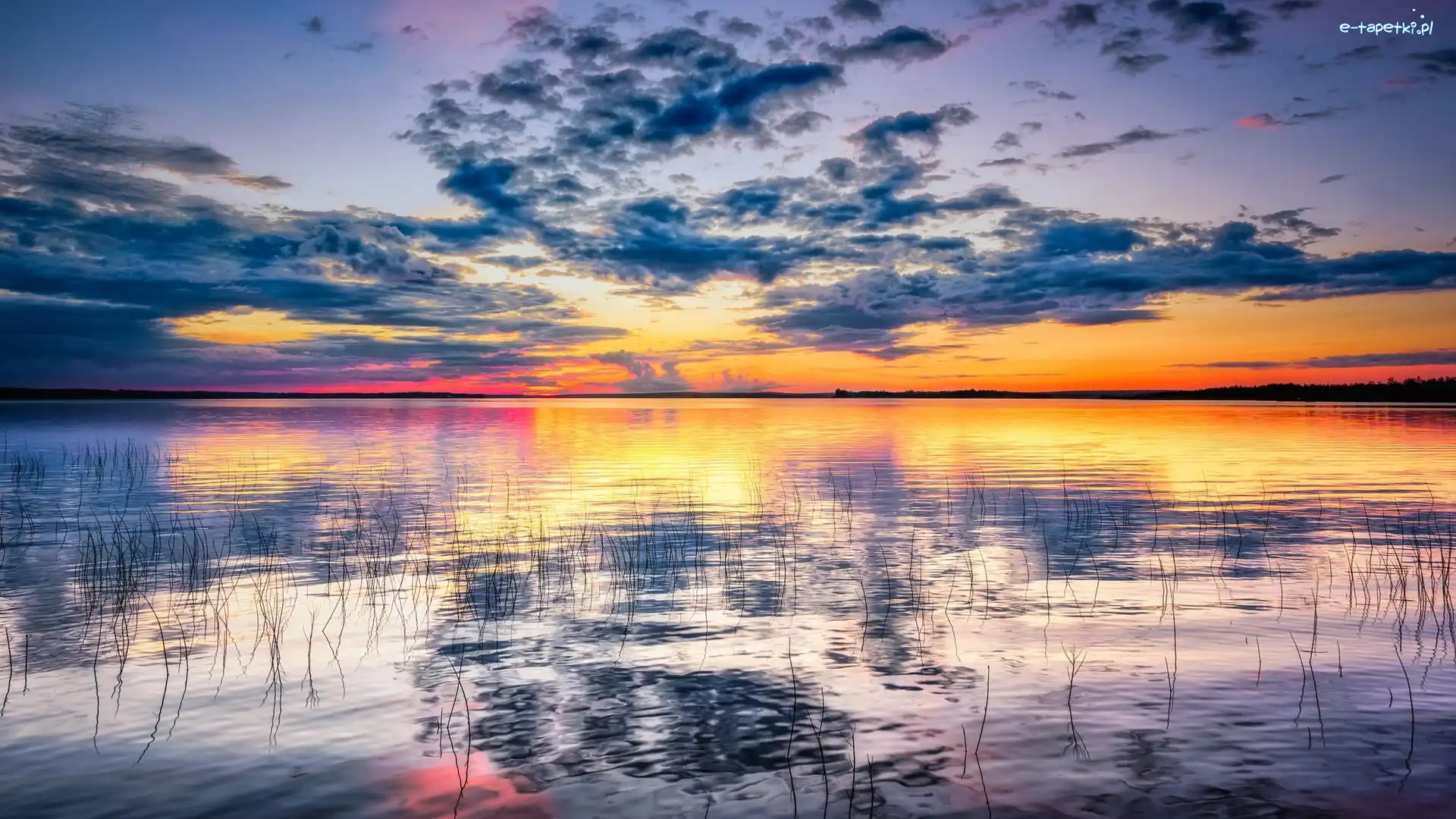 Jezioro Oijärvi, Zachód słońca, Trawy, Finlandia