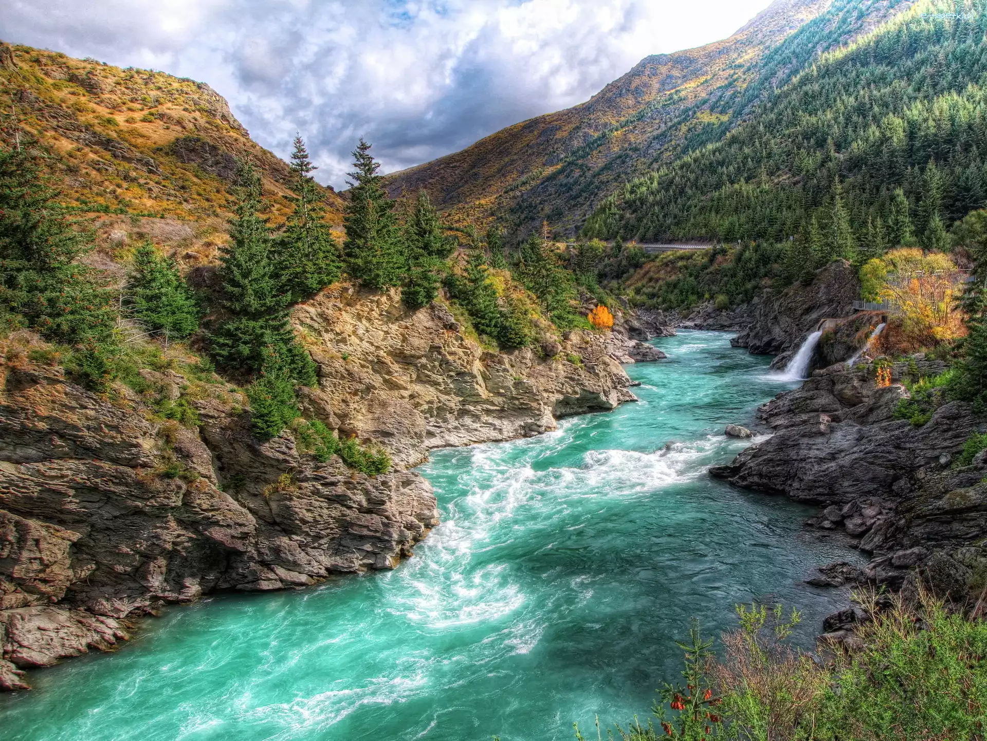 Nowa Zelandia, Góry, Rzeka Kawarau, Skały, Las