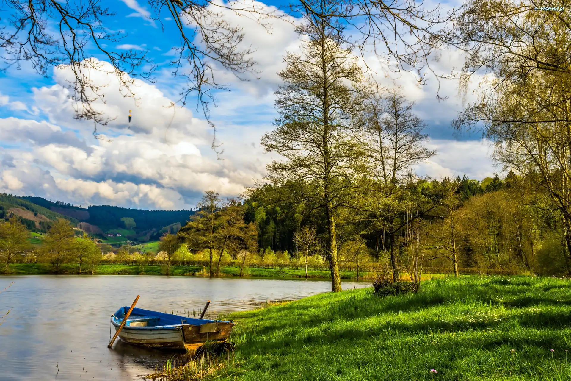 Łódka, Jezioro, Góry, Drzewa, Las
