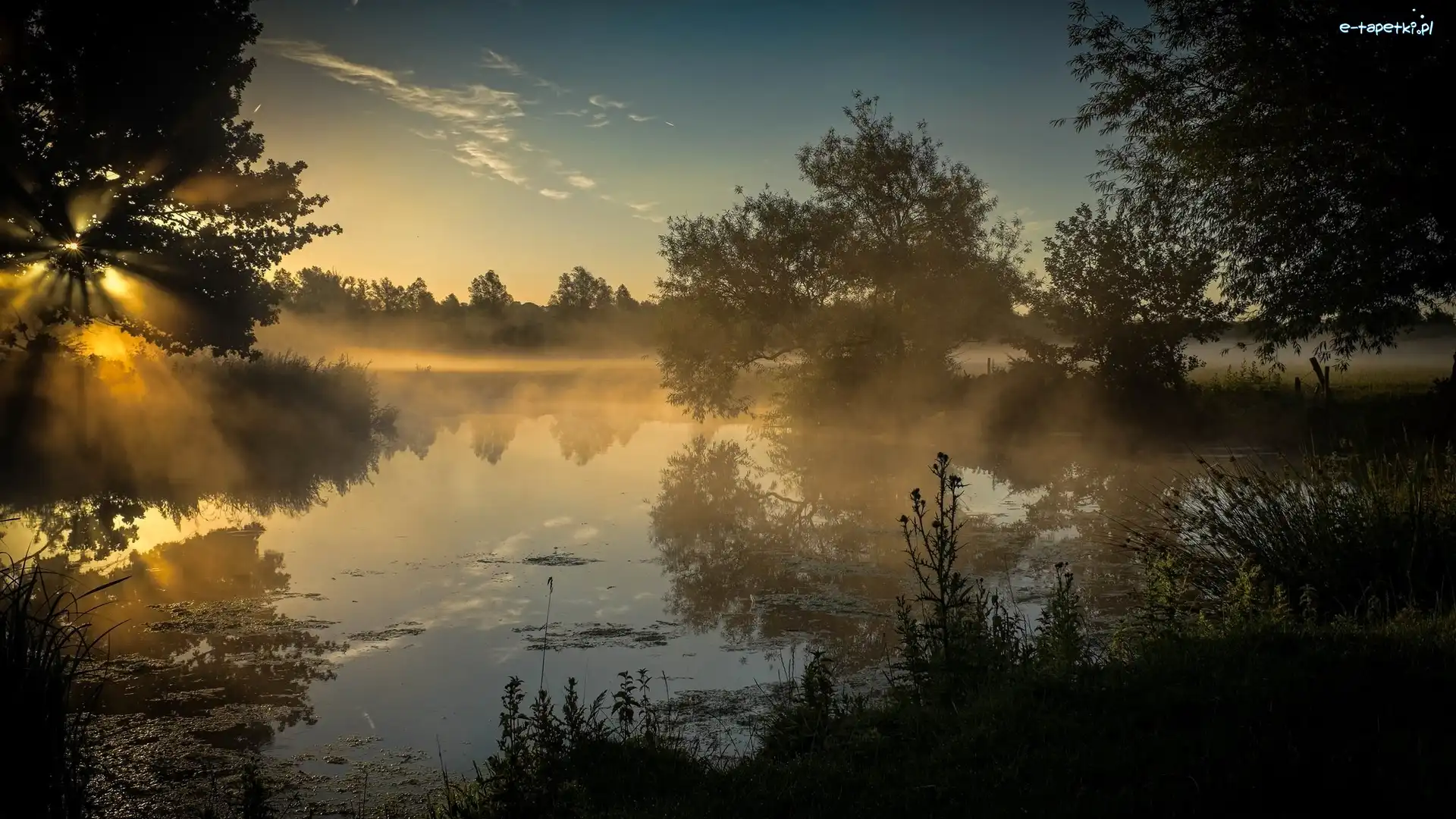 Drzewa, Mgła, Promienie słońca, Rzeka