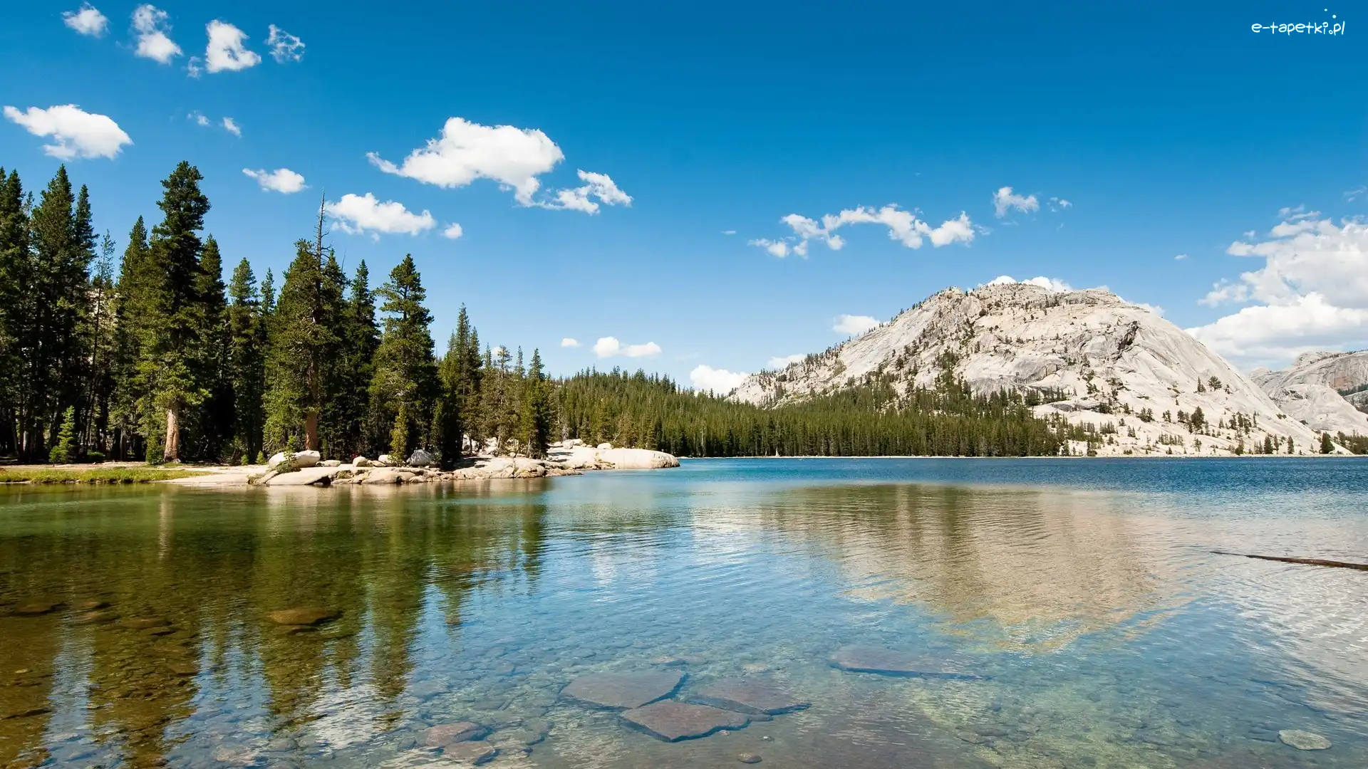 Góry, Park Narodowy Yosemite, Jezioro Tenaya, Las, Stan Kalifornia, Stany Zjednoczone