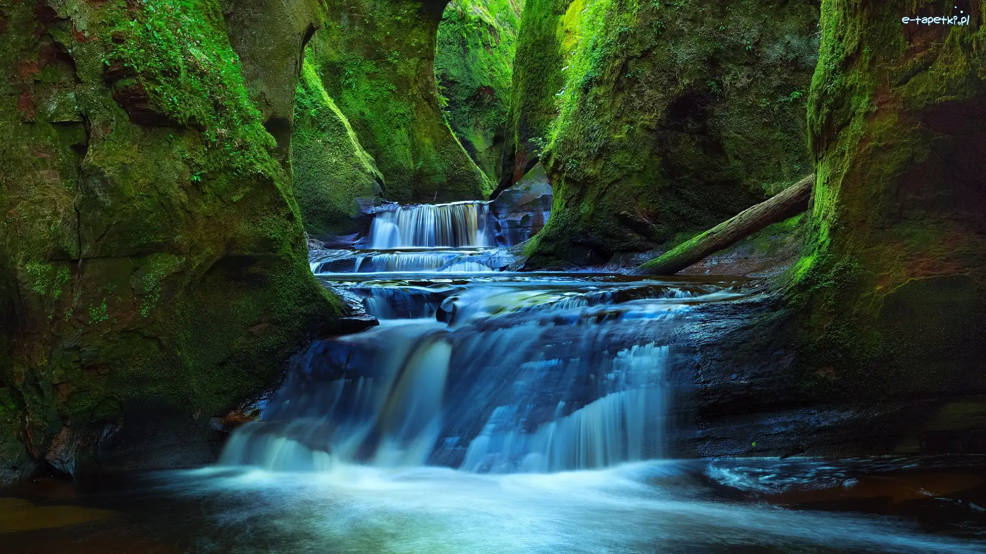 Rzeka Carnock Burn, Wąwóz Finnich Glen, Szkocja