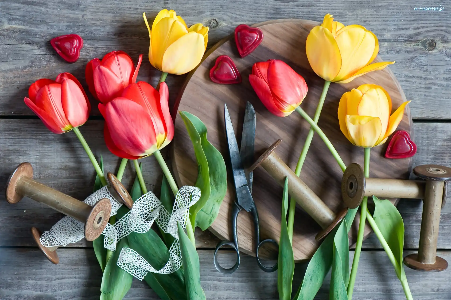 Tulipany, Kompozycja, Nożyczki, Kolorowe