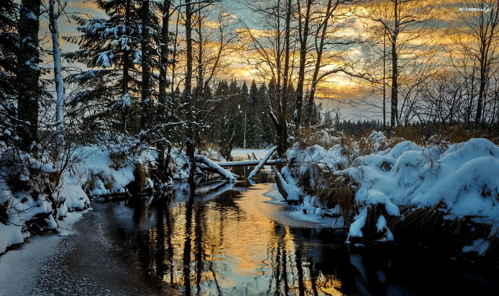 Drzewa, Zima, Rzeka, Wschód słońca, Region Värmland, Szwecja