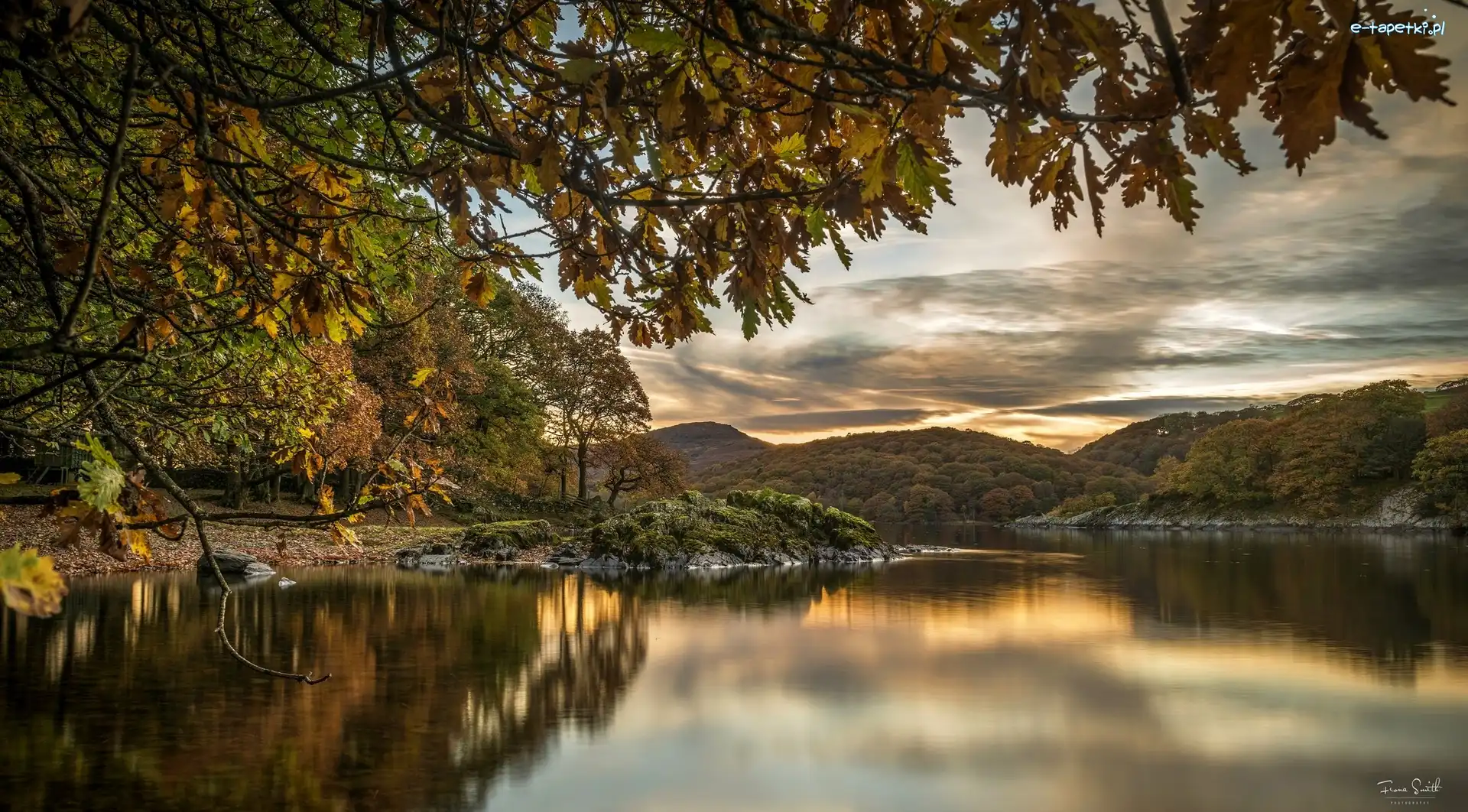 Anglia, Drzewa, Hrabstwo Kumbria, Jezioro Coniston Lake, Wzgórza