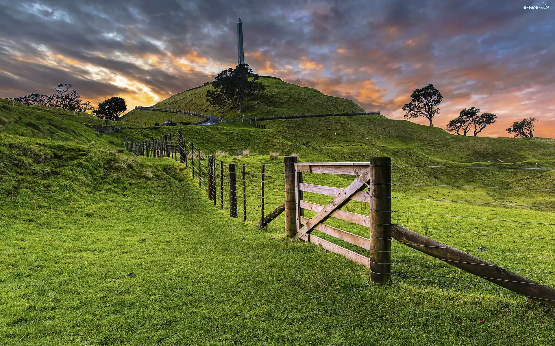 Nowa Zelandia, Łąki, Auckland, Płot, Trawa