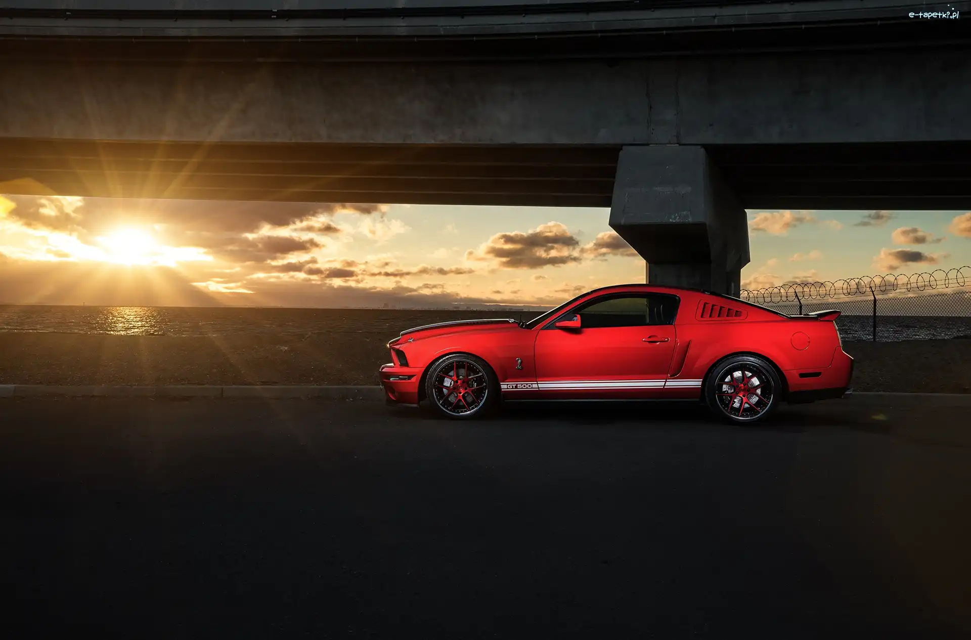 Ford Mustang GT500, Słońce, Promienie, Czerwony