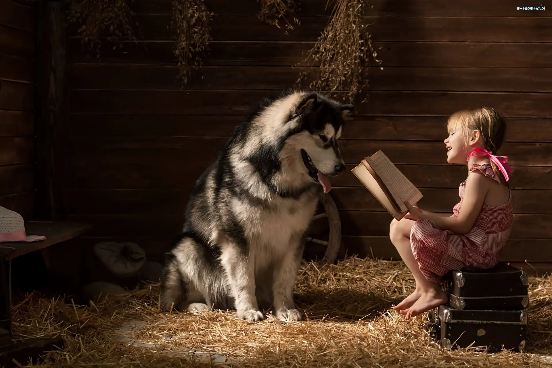 Alaskan Malamute, Książka, Dziewczynka, Pies