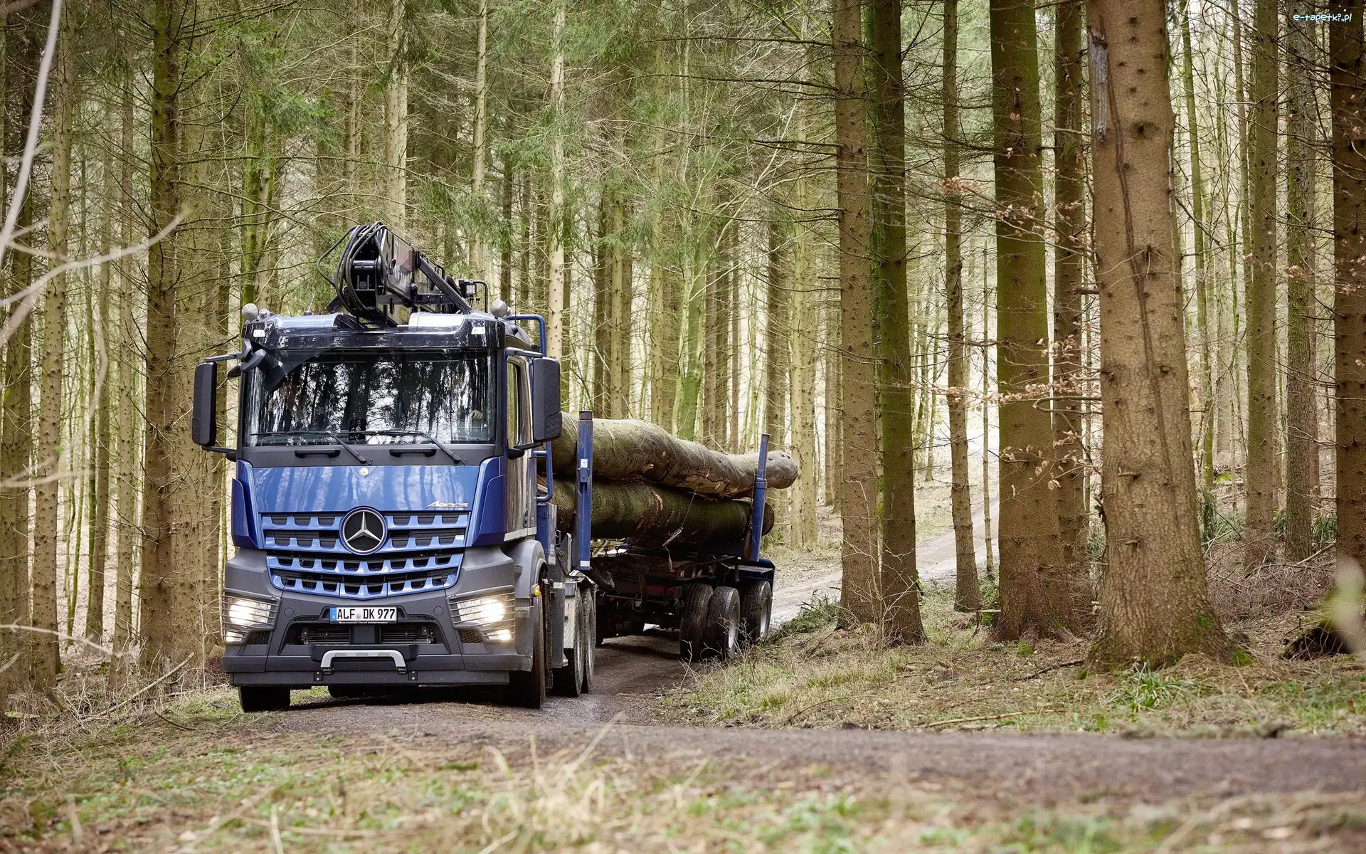 Mercedes-Benz Arocs 2658 L 6×4, Las, 2016, Ciężarówka