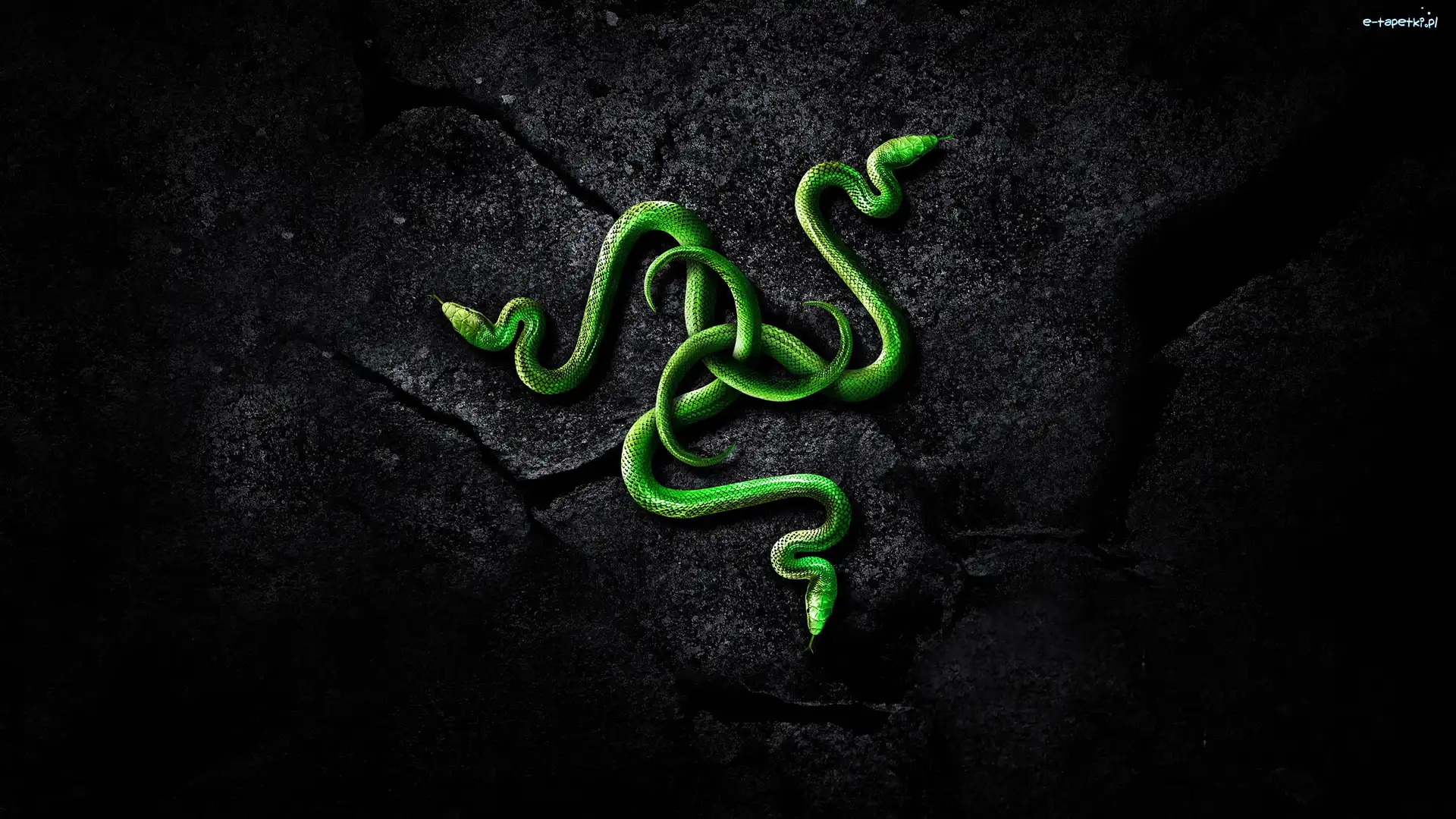 Grafika 3D, Węże, Logo, Razer
