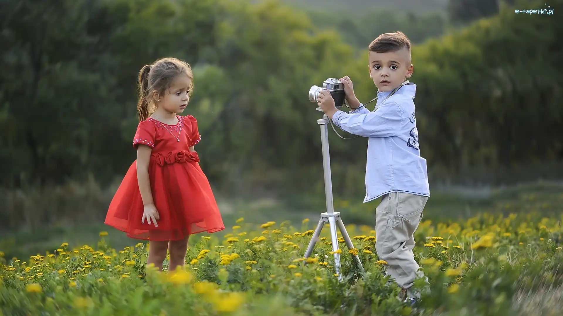 Dziewczynka, Aparat fotograficzny, Łąka, Chłopiec