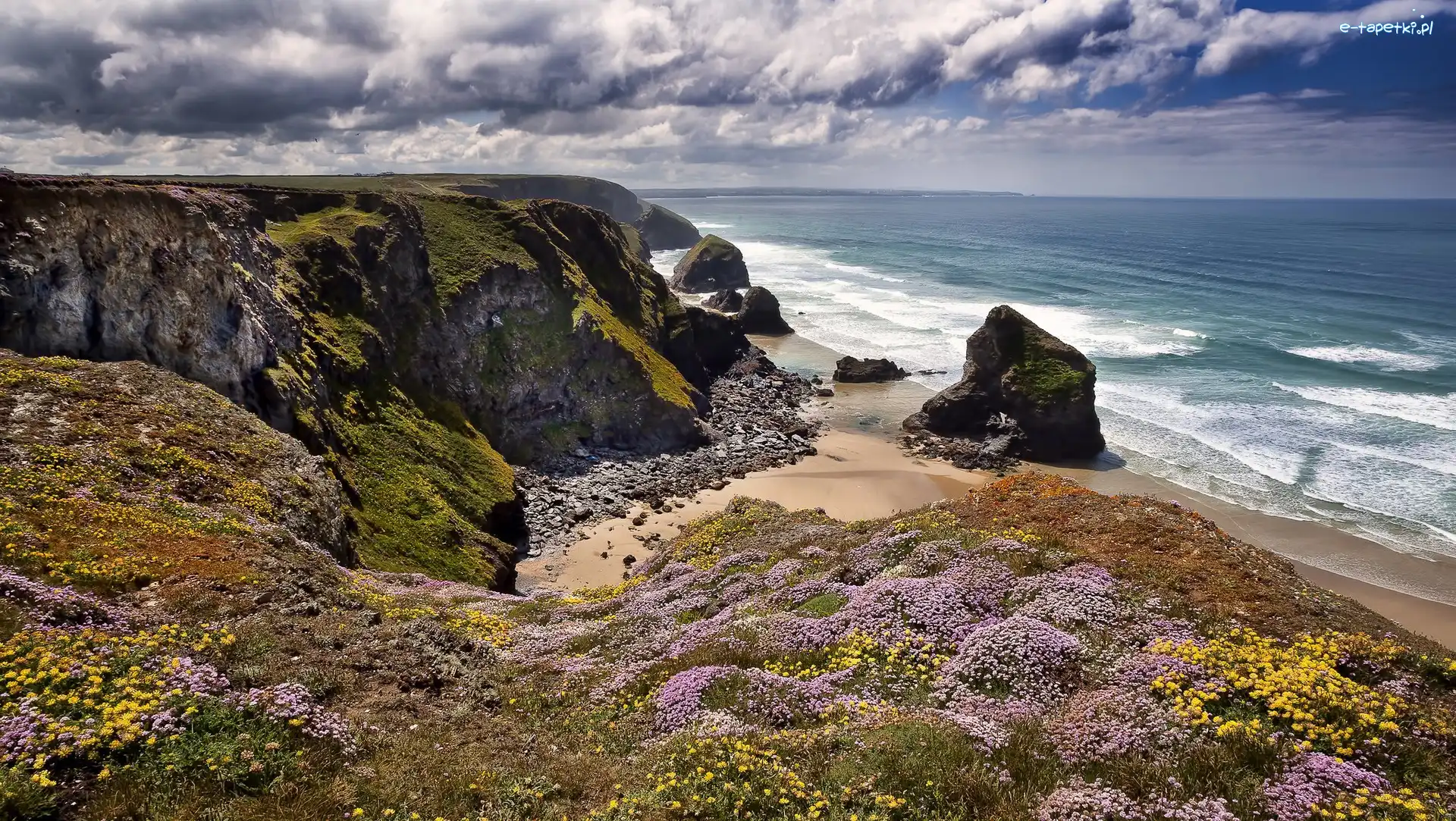 Morze Celtyckie, Rezerwat Przyrody Carnewas and Bedruthan Steps, Wybrzeże, Kornwalia, Anglia, Kwiaty, Skały
