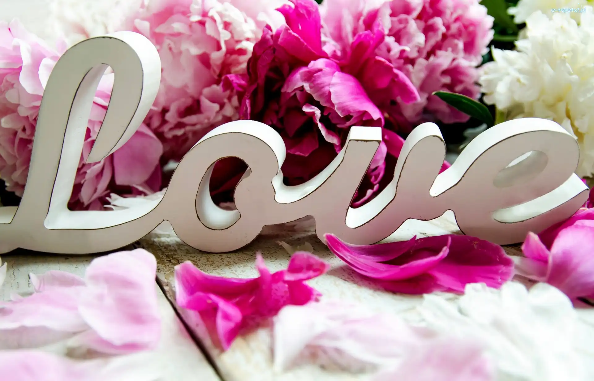 Piwonie, Love, Napis, Kwiaty
