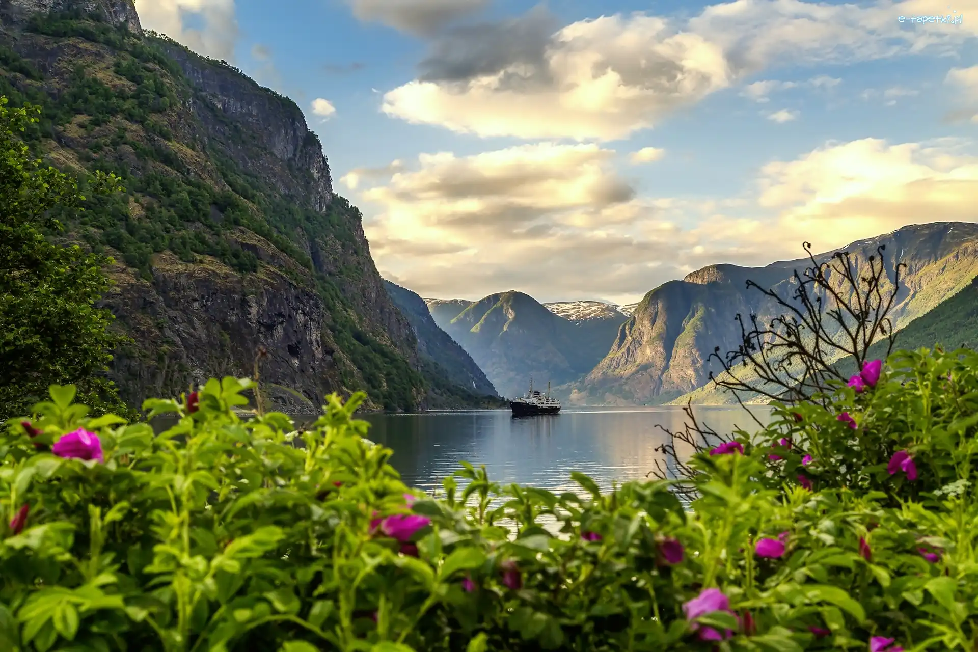 Góry, Wieś Flam, Statek, Kwiaty, Fiord Aurlandsfjord, Norwegia