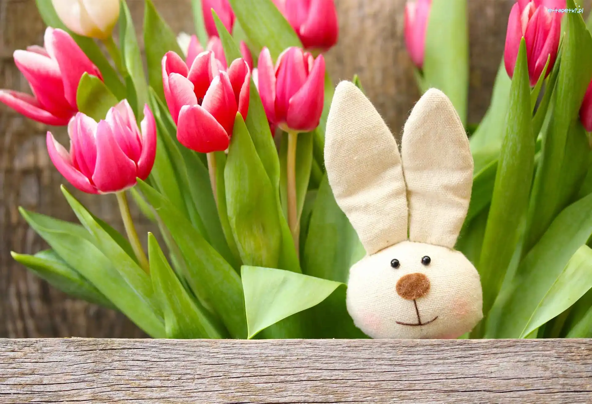 Tulipany, Dekoracja, Zajączek, Wielkanoc