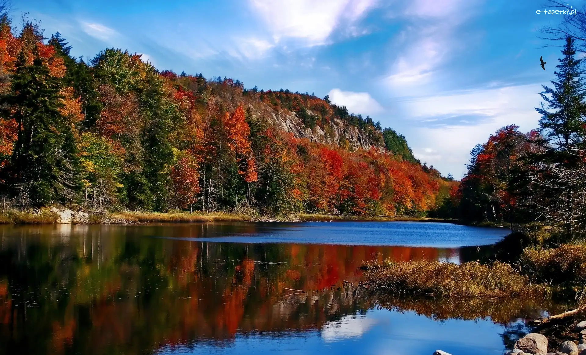 Jezioro, Adirondack Park, Jesień, Stan Nowy Jork, Stany Zjednoczone, Góry, Drzewa
