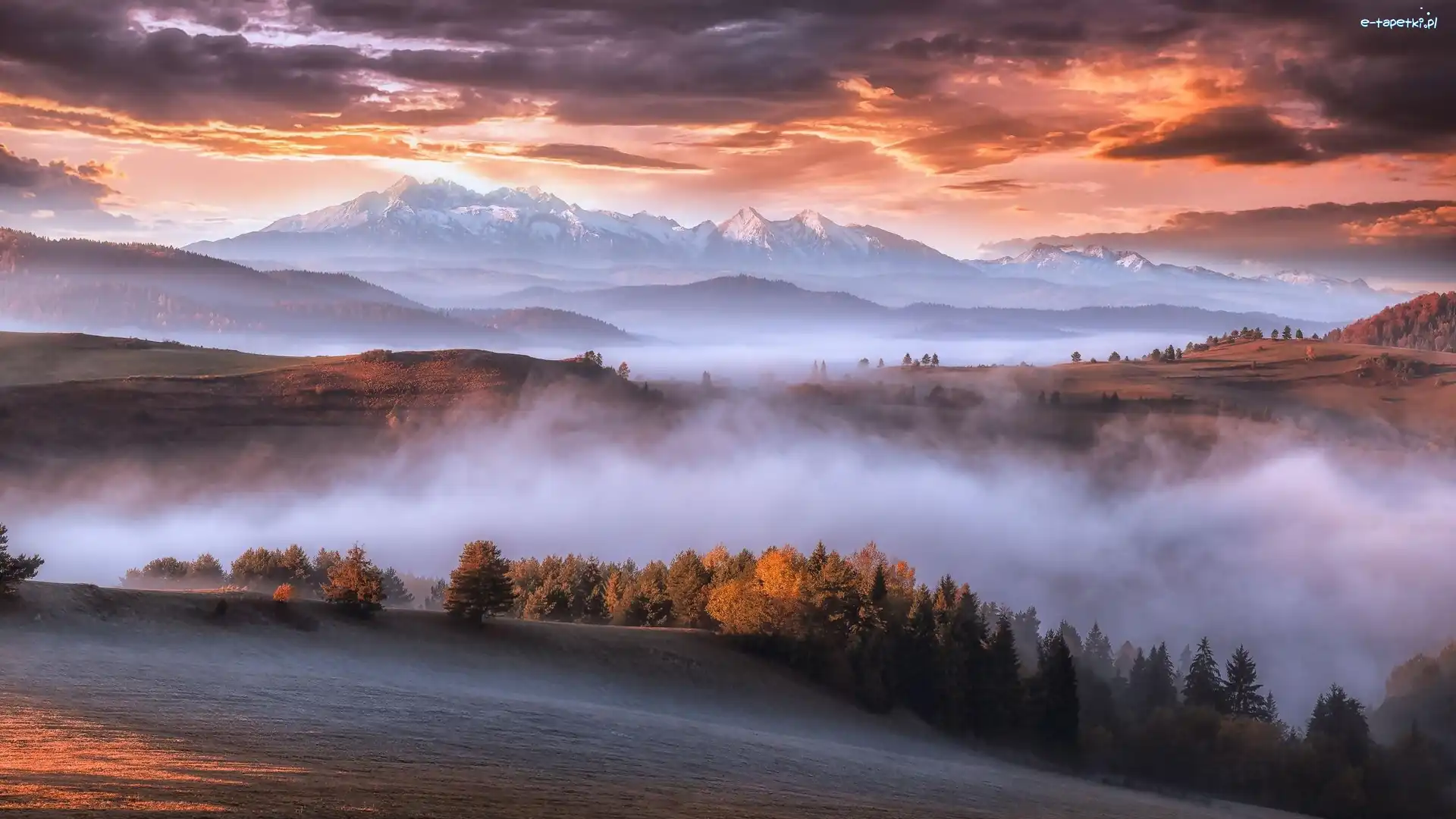 Góry Karpaty, Mgła, Lasy, Wschód słońca, Chmury