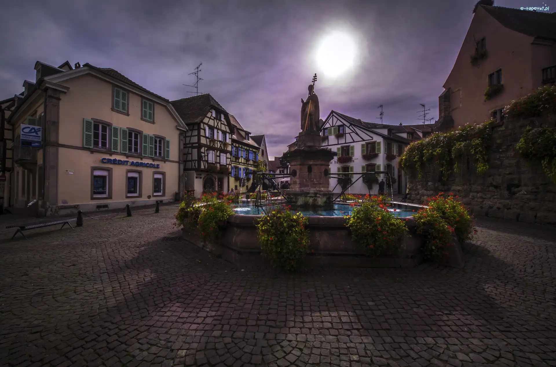 Francja, Domy, Eguisheim, Posąg świętego Leona, Fontanna