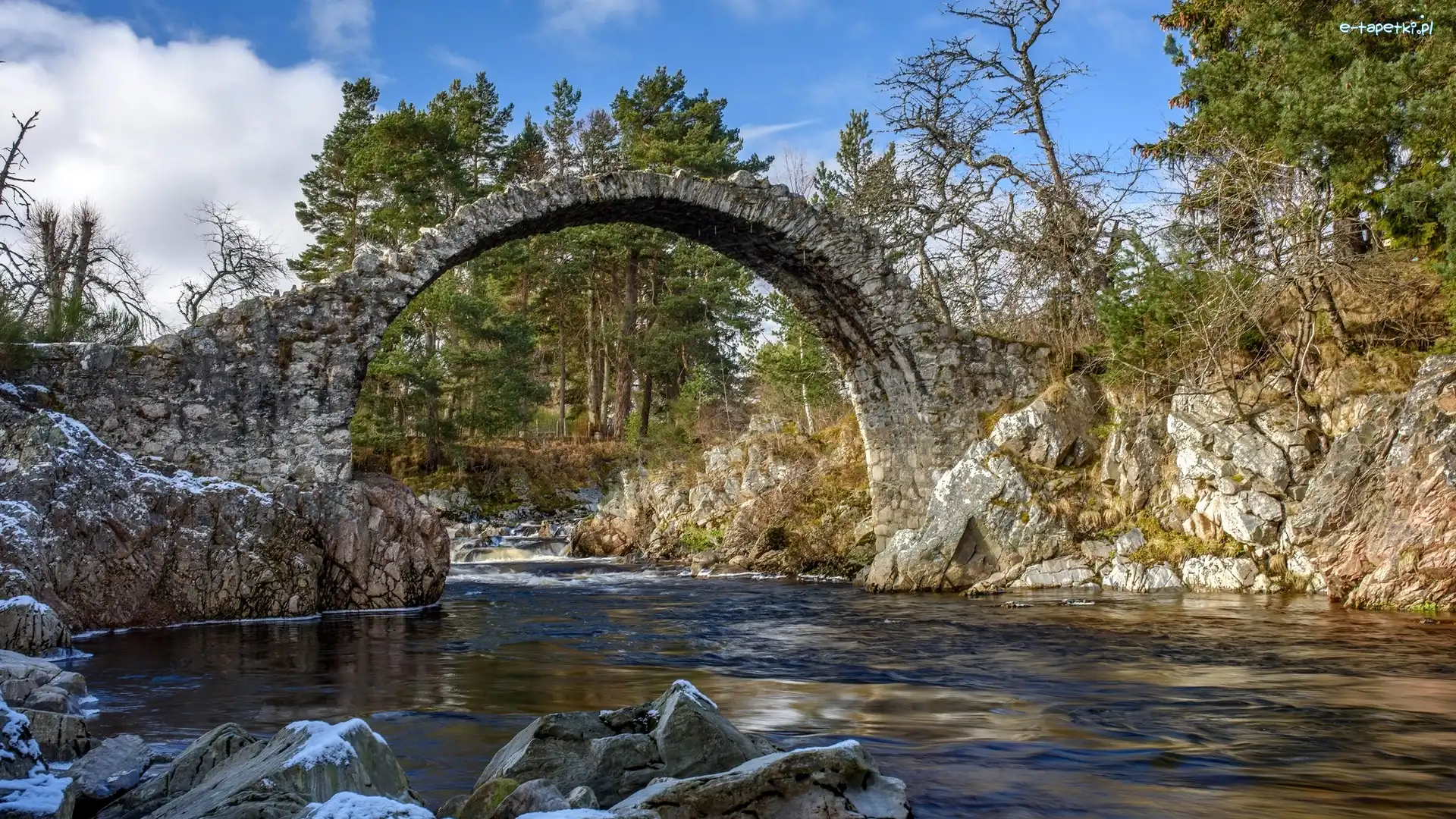Szkocja, Kamienie, Rzeka Dulnain, Drzewa, Most Carrbridge