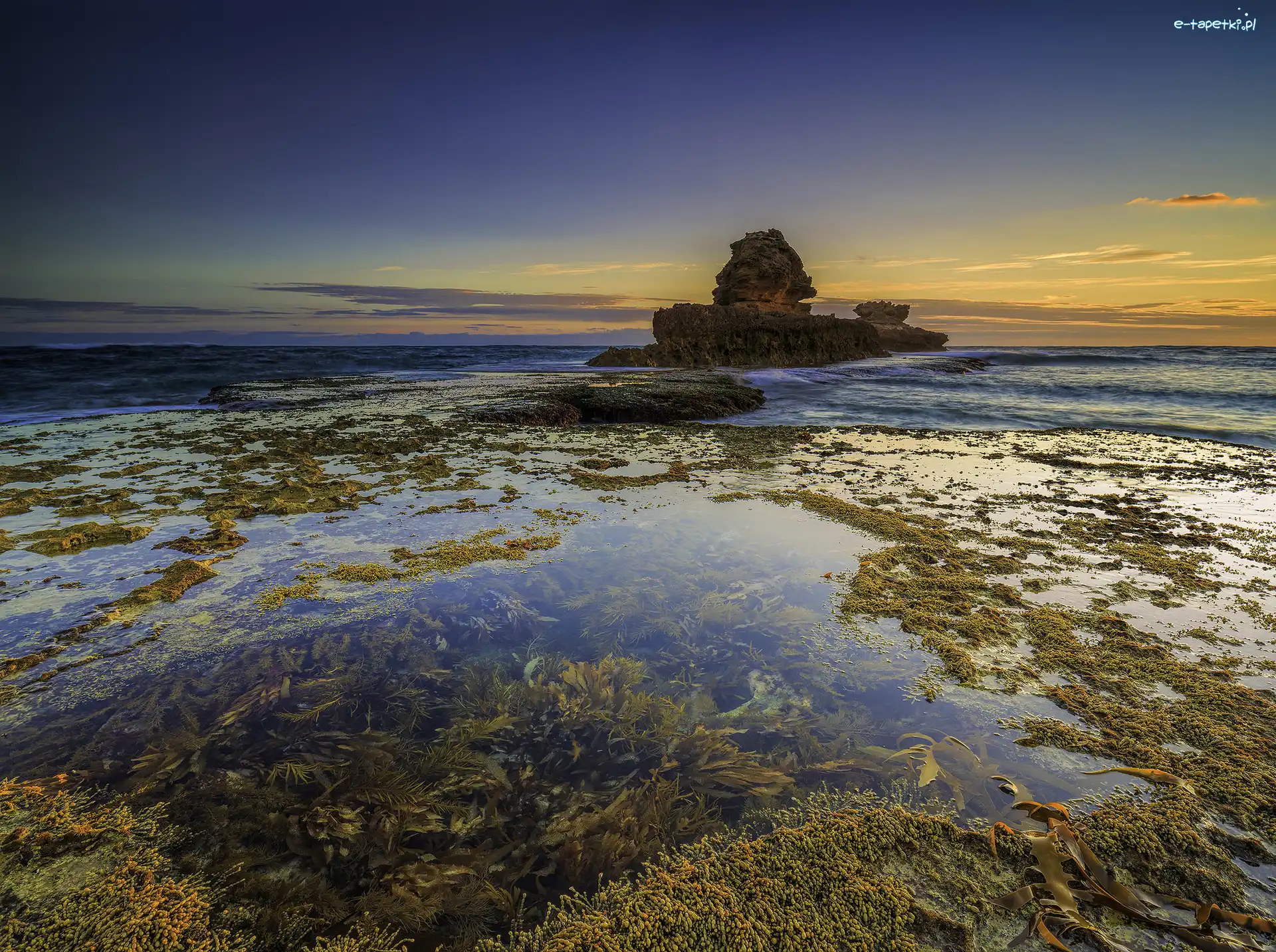 Skały, Park Narodowy Mornington Peninsula, Zatoka Bay of Islands, Sorrento, Australia, Wodorosty, Morze