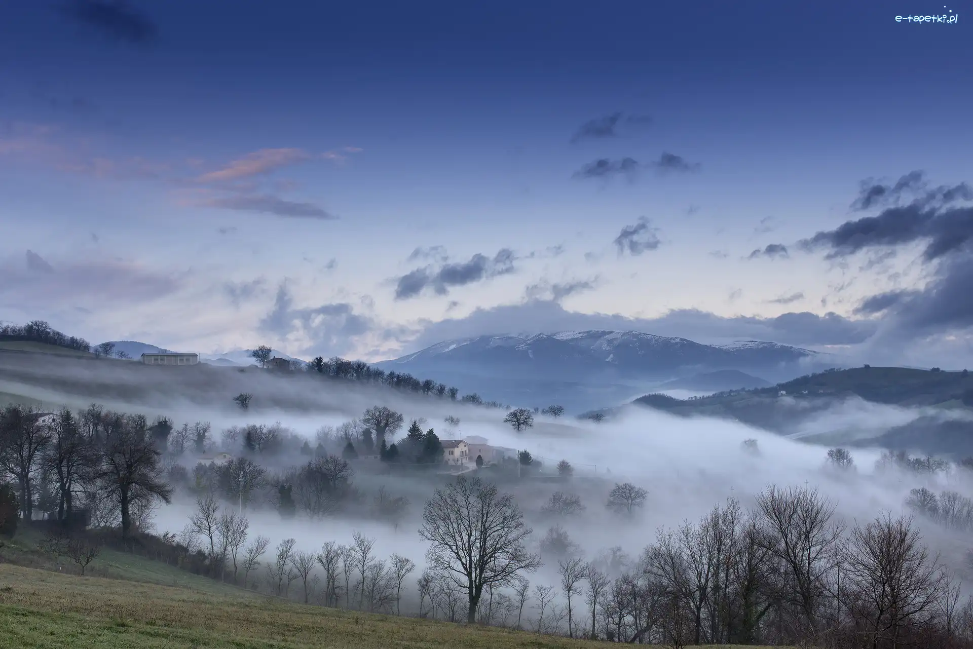 Mgła, Drzewa, Góry Sibillini, Włochy