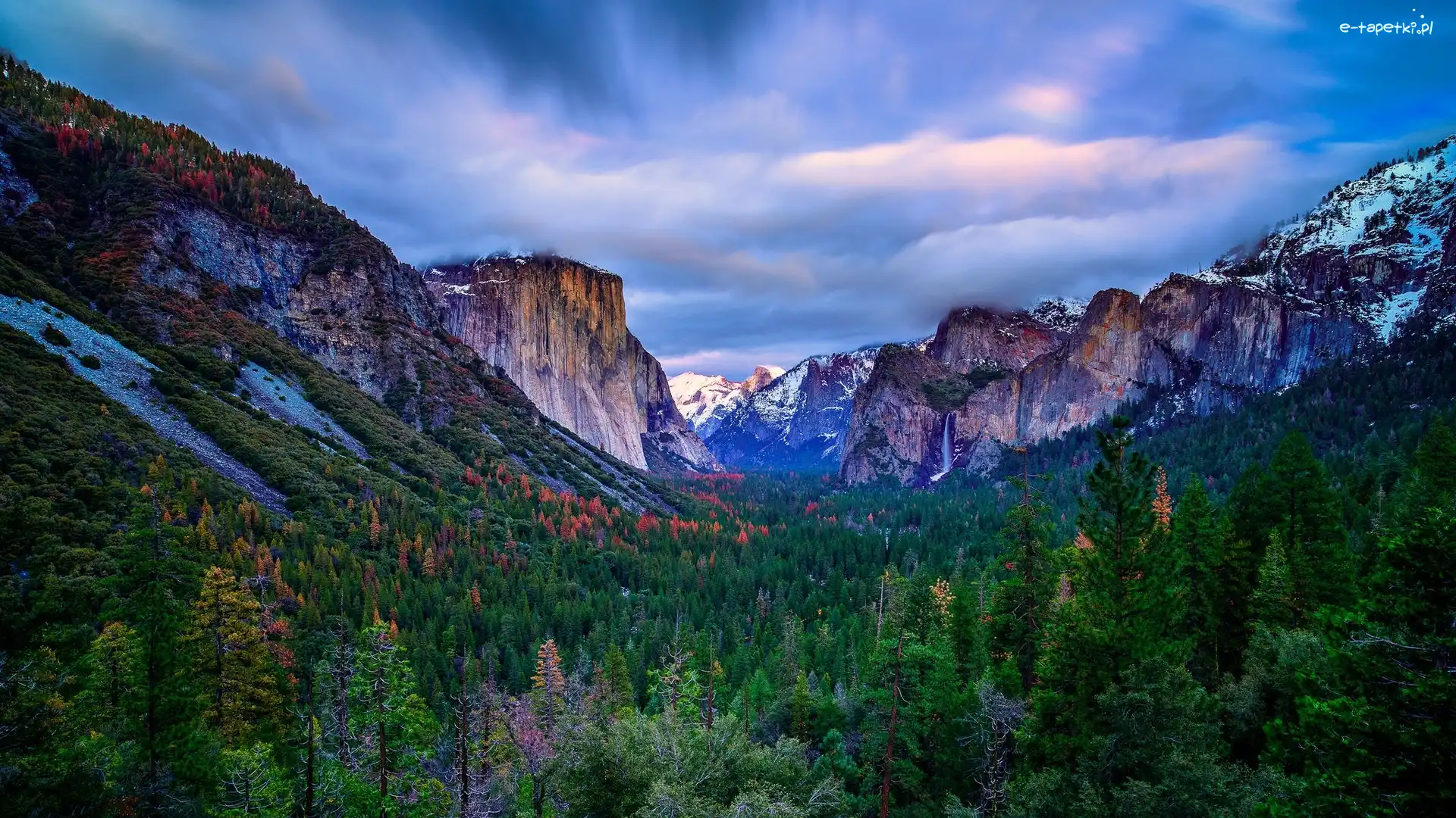 Mgła, Park Narodowy Yosemite, Góry, Kalifornia, Stany Zjednoczone, Drzewa, Las