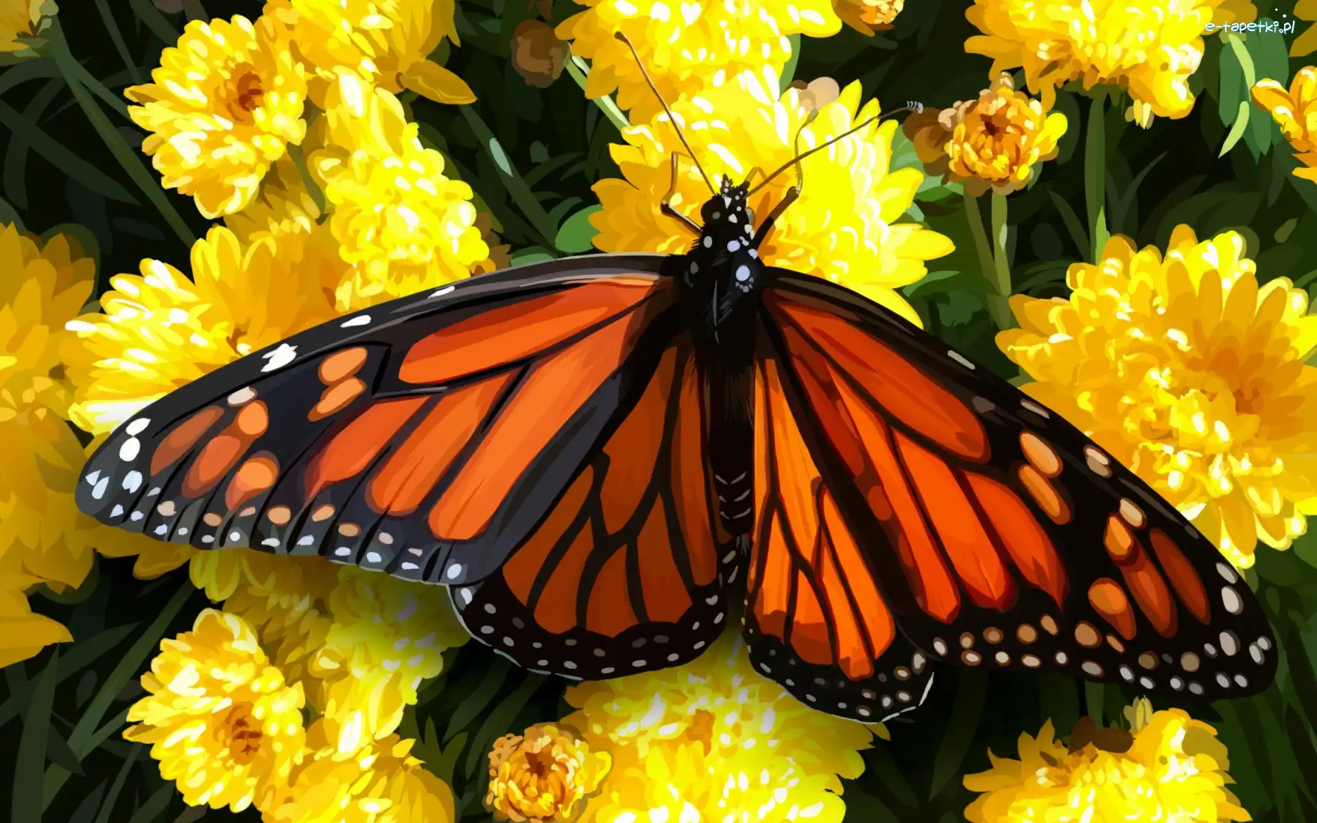 Kwiaty, Motyl monarcha, Obraz