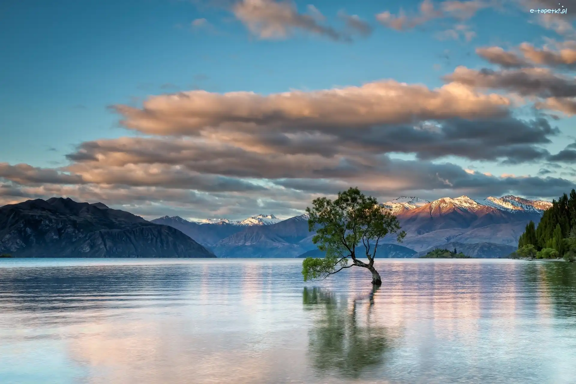 Nowa Zelandia, Góry, Jezioro Wanaka, Chmury, Drzewo