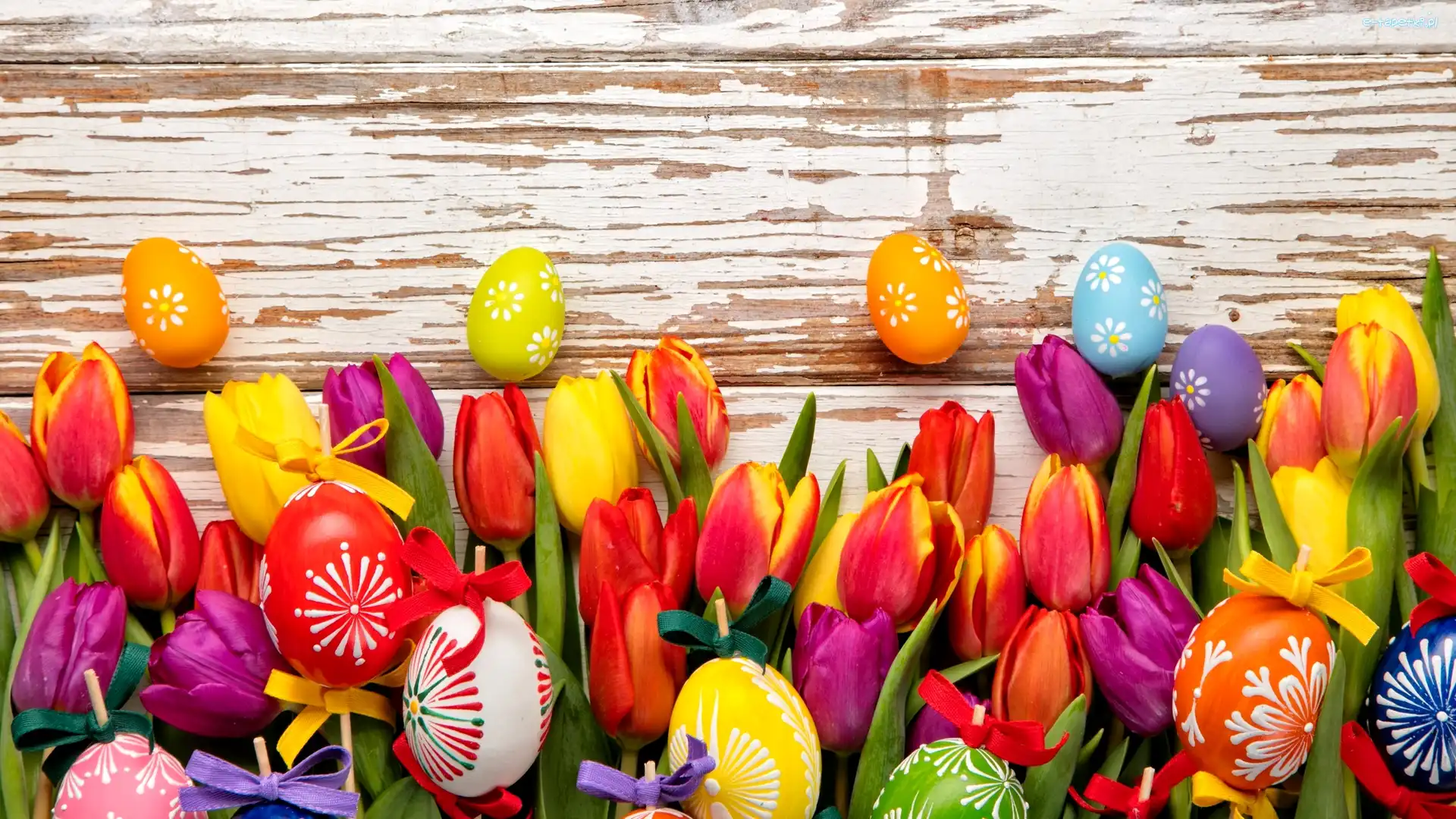 Kompozycja, Tulipany, Pisanki, Wielkanoc