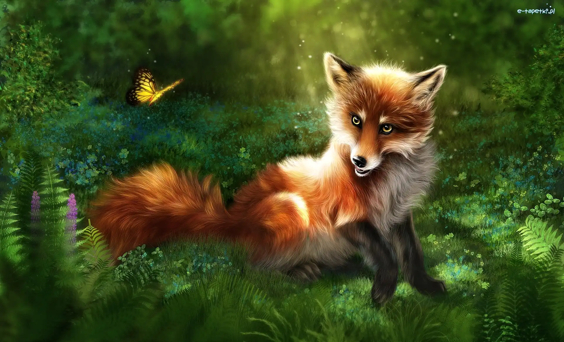 Grafika 2D, Motyl, Lis