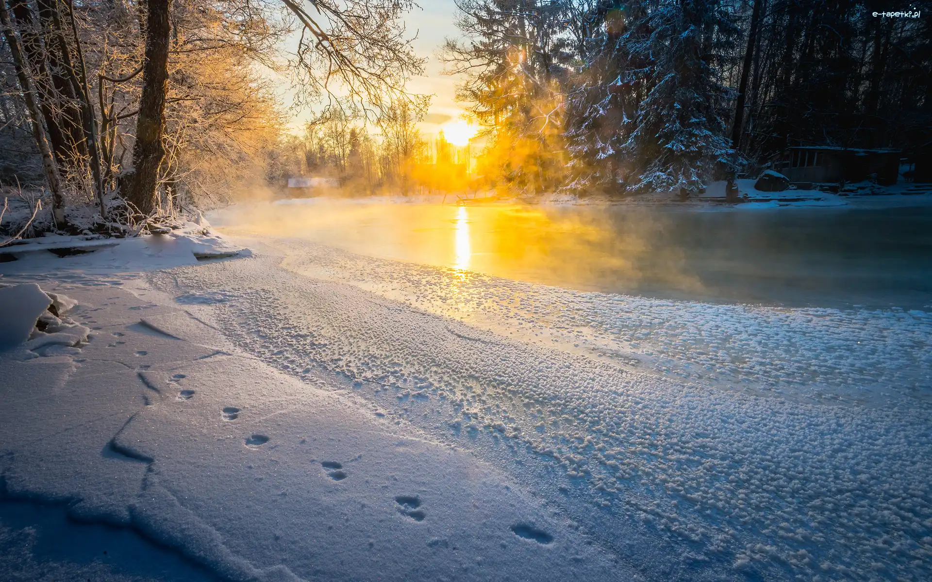 Rzeka, Wschód słońca, Drzewa, Potok Langinkoski, Zima, Finlandia
